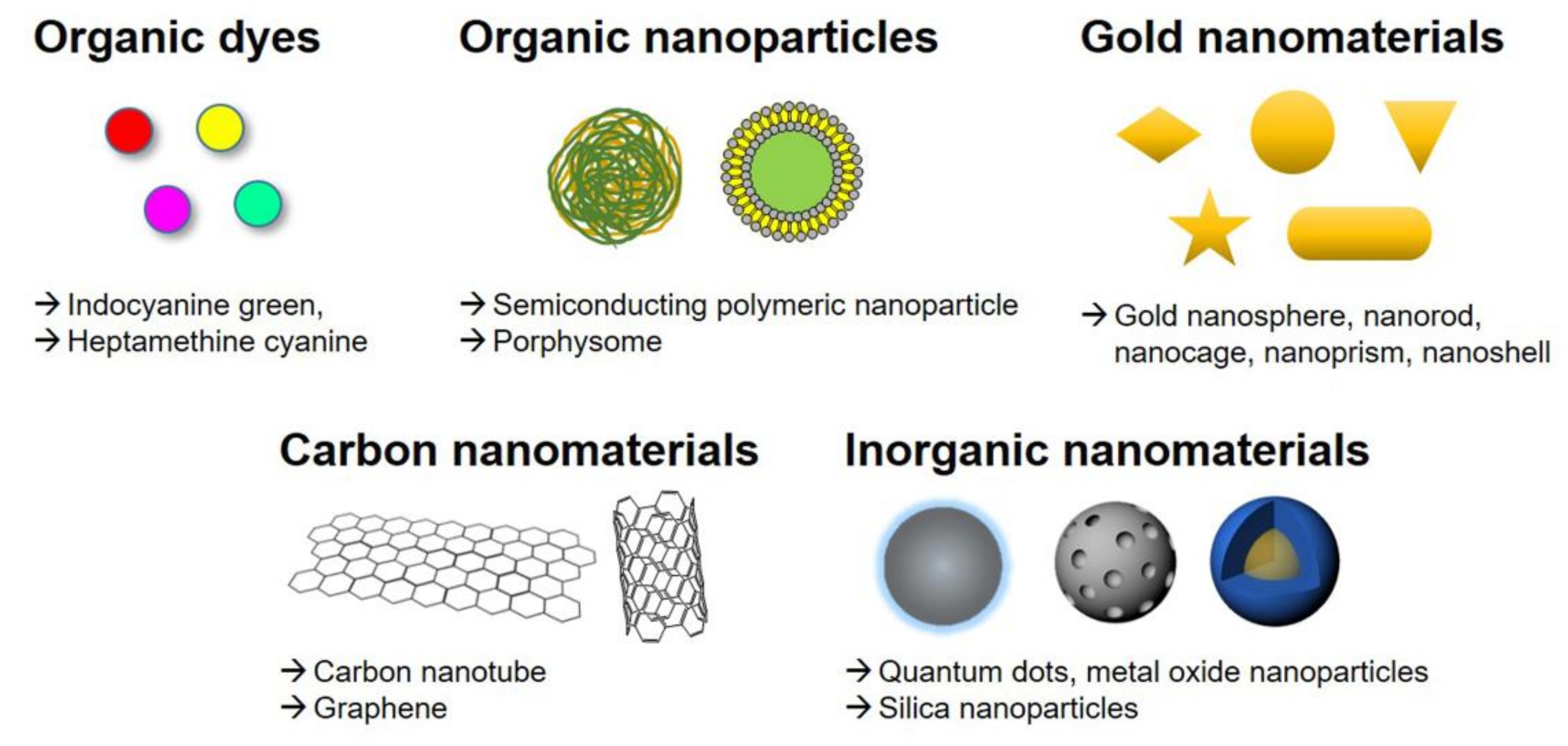 Biomedicines 09 00305 g002