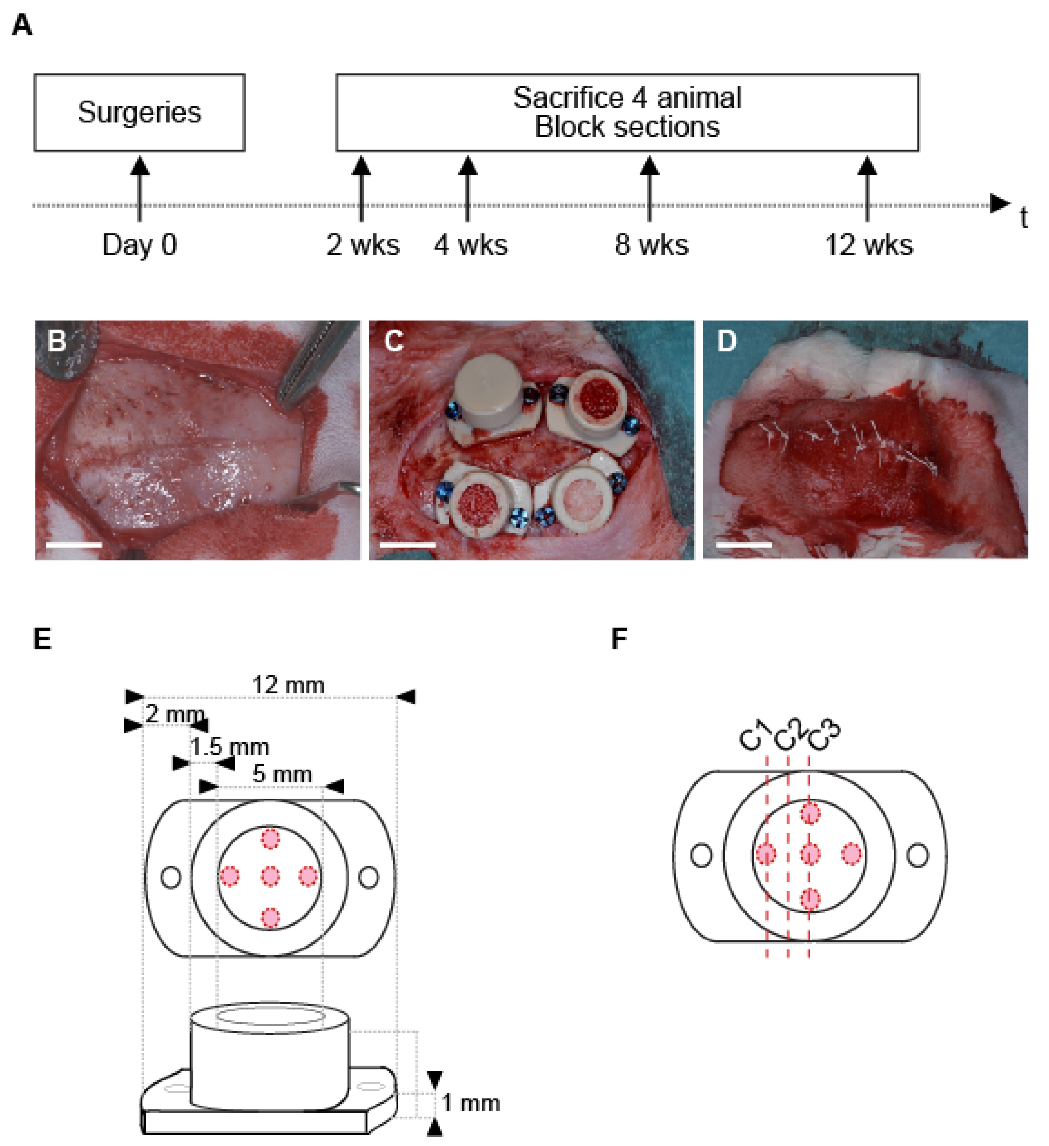Biomedicines 09 00308 g001 Biomedicines 09 00308 g001