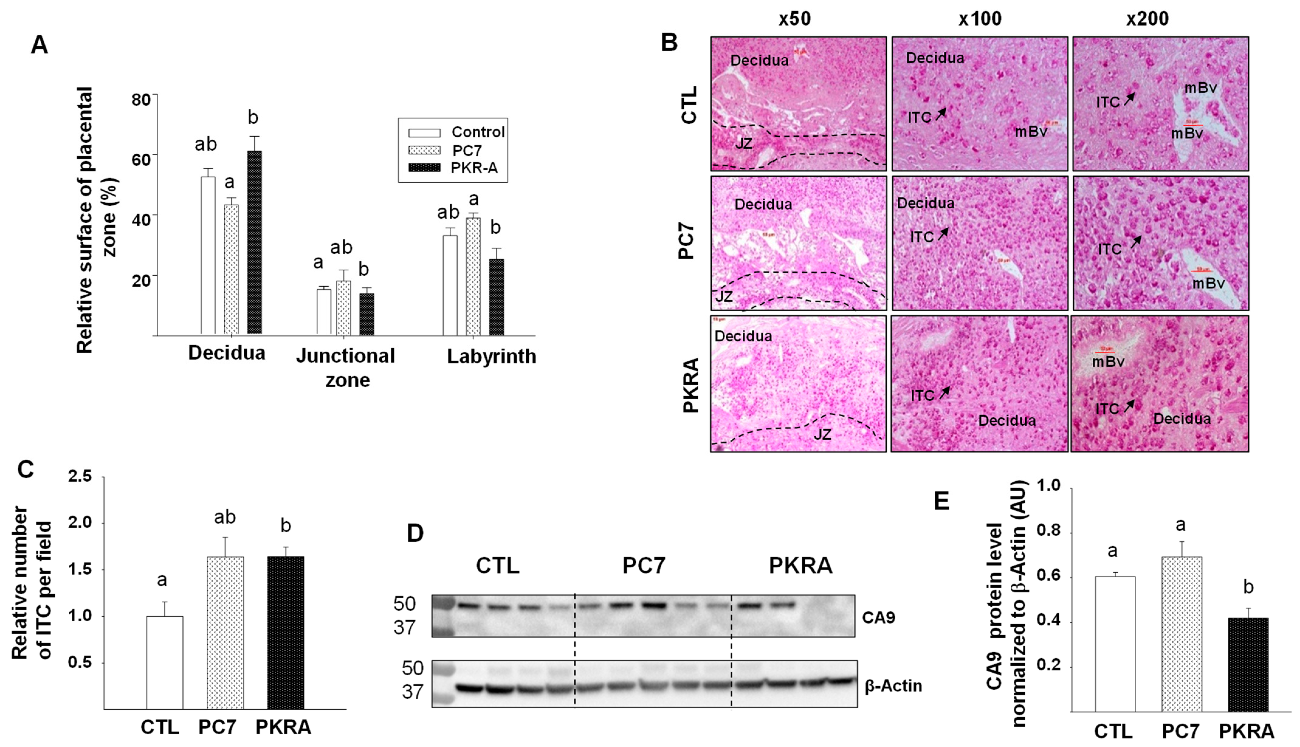 Biomedicines 09 00309 g004 Biomedicines 09 00309 g004