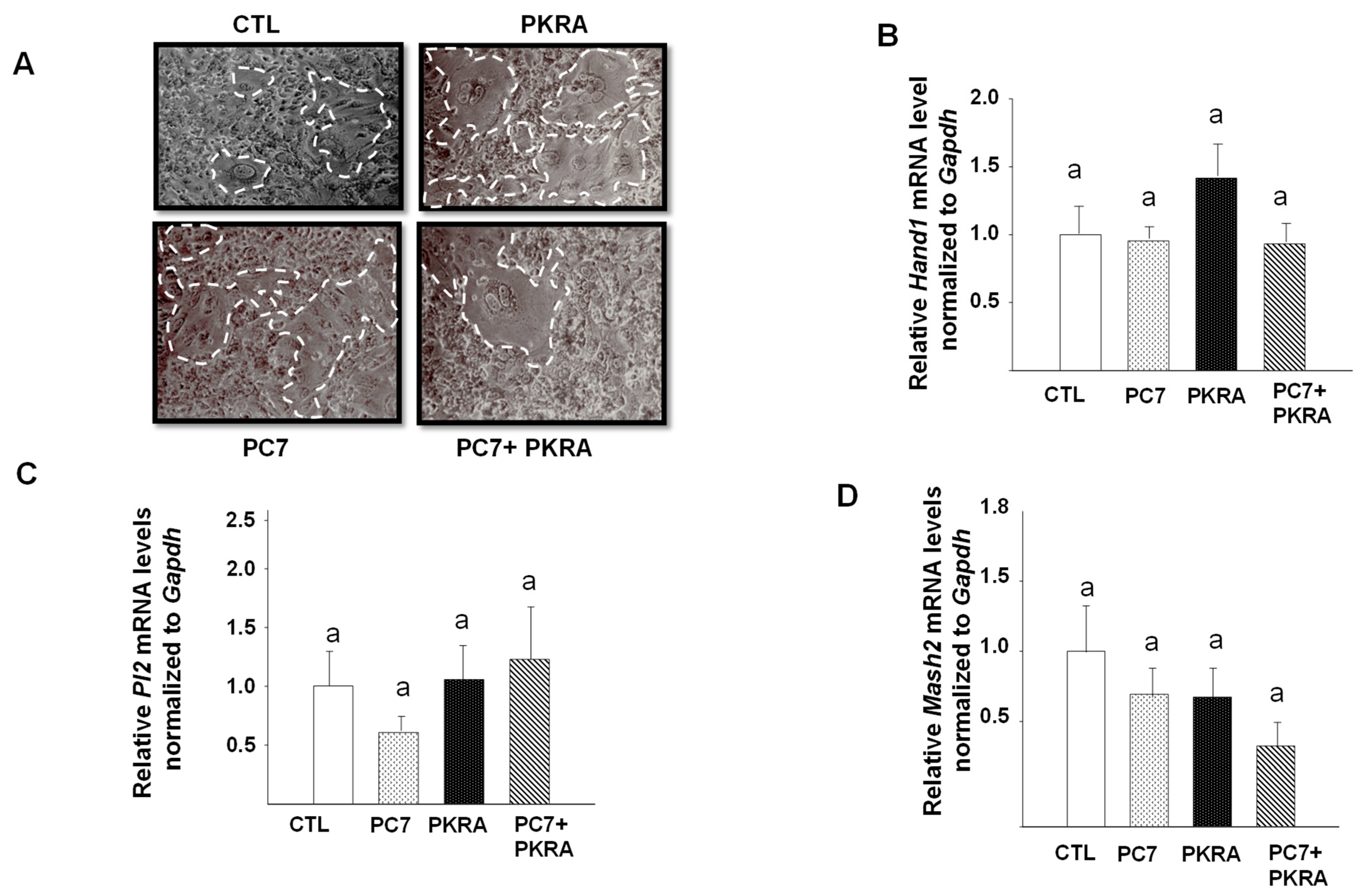 Biomedicines 09 00309 g006 Biomedicines 09 00309 g006