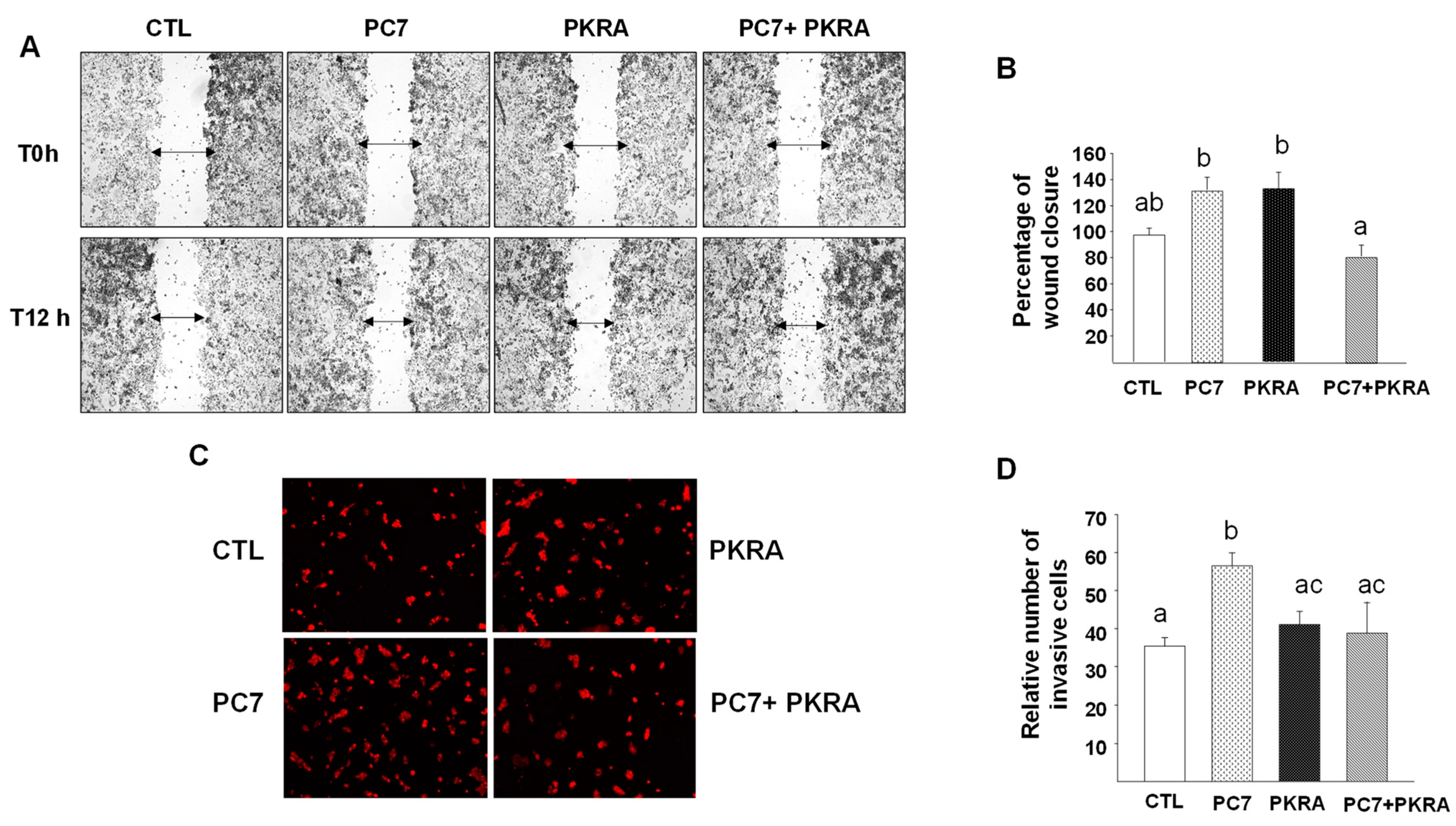 Biomedicines 09 00309 g007 Biomedicines 09 00309 g007
