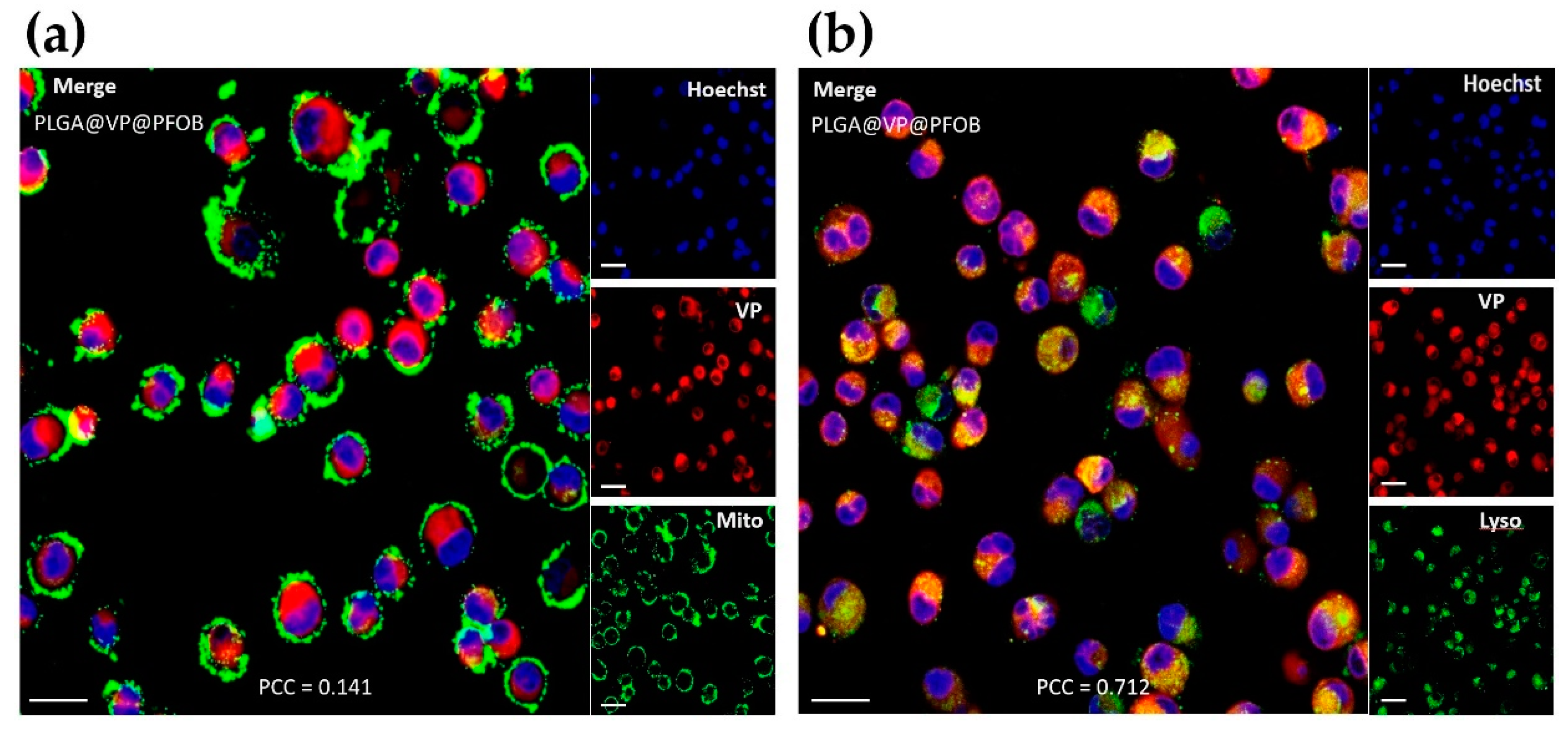 Biomedicines 09 00322 g002 Biomedicines 09 00322 g002