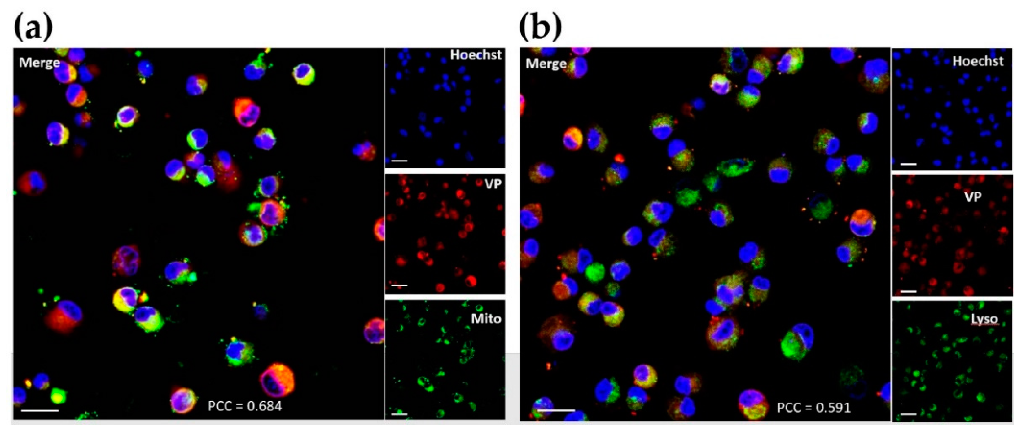 Biomedicines 09 00322 g0a3 Biomedicines 09 00322 g0a3