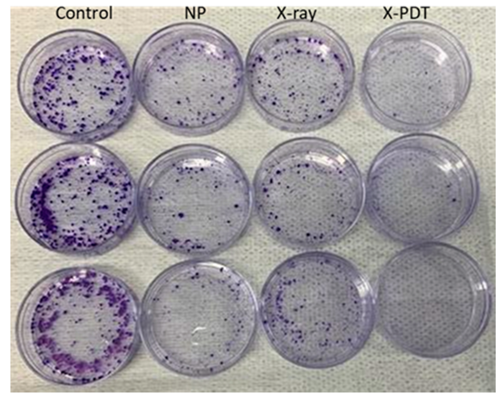Biomedicines 09 00322 g0a5 Biomedicines 09 00322 g0a5