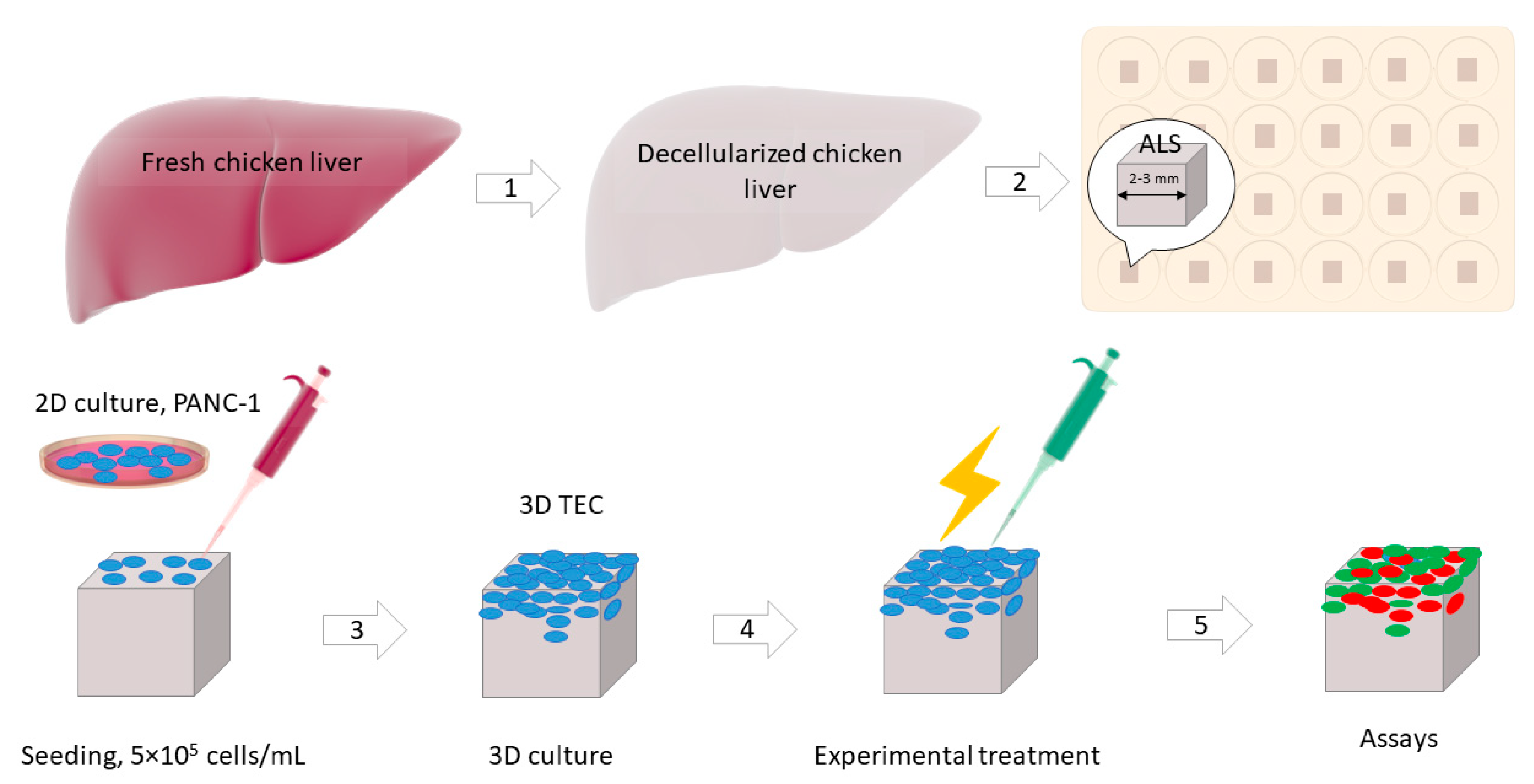 Biomedicines 09 00322 g0a6 Biomedicines 09 00322 g0a6