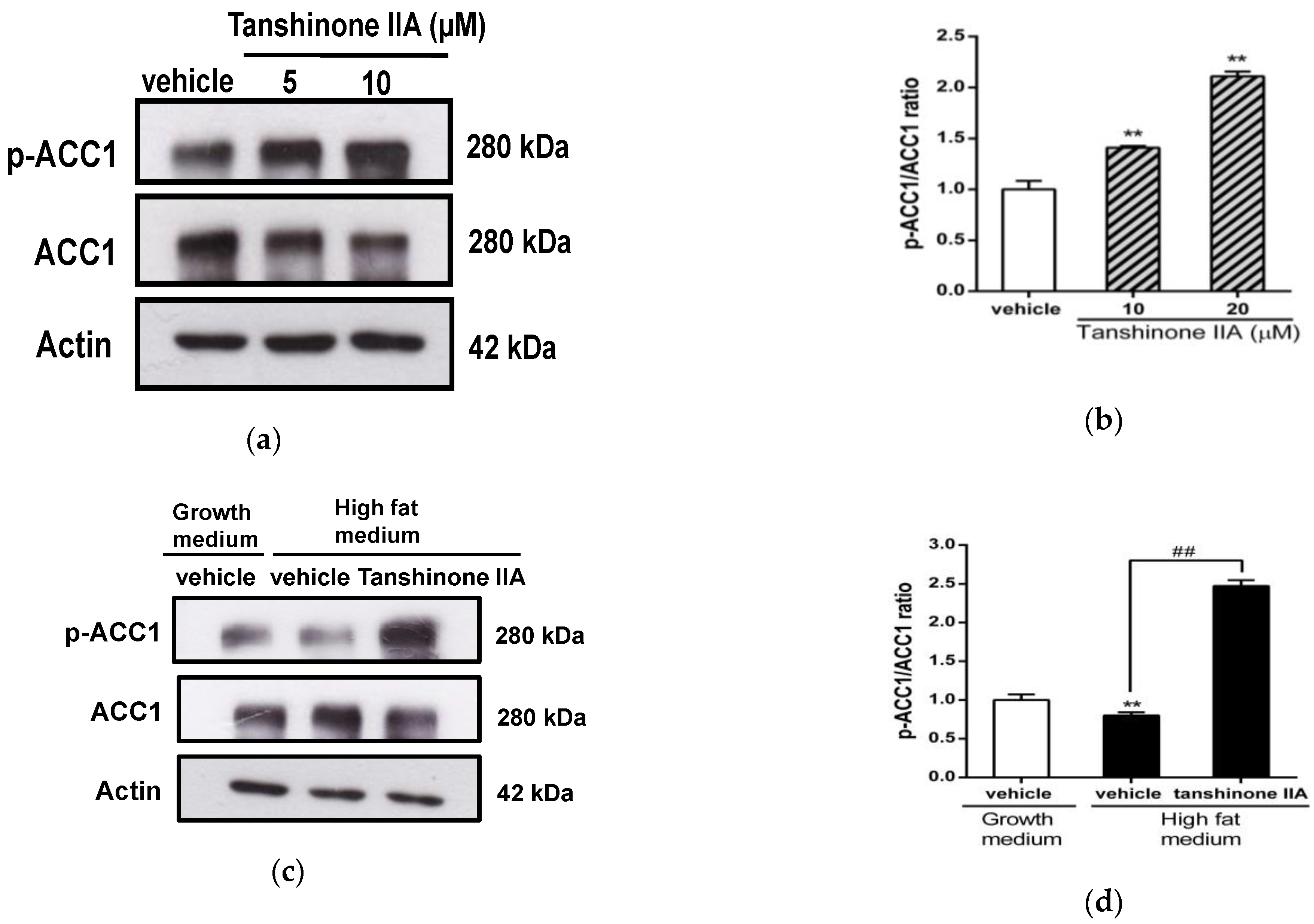 Biomedicines 09 00326 g004 Biomedicines 09 00326 g004