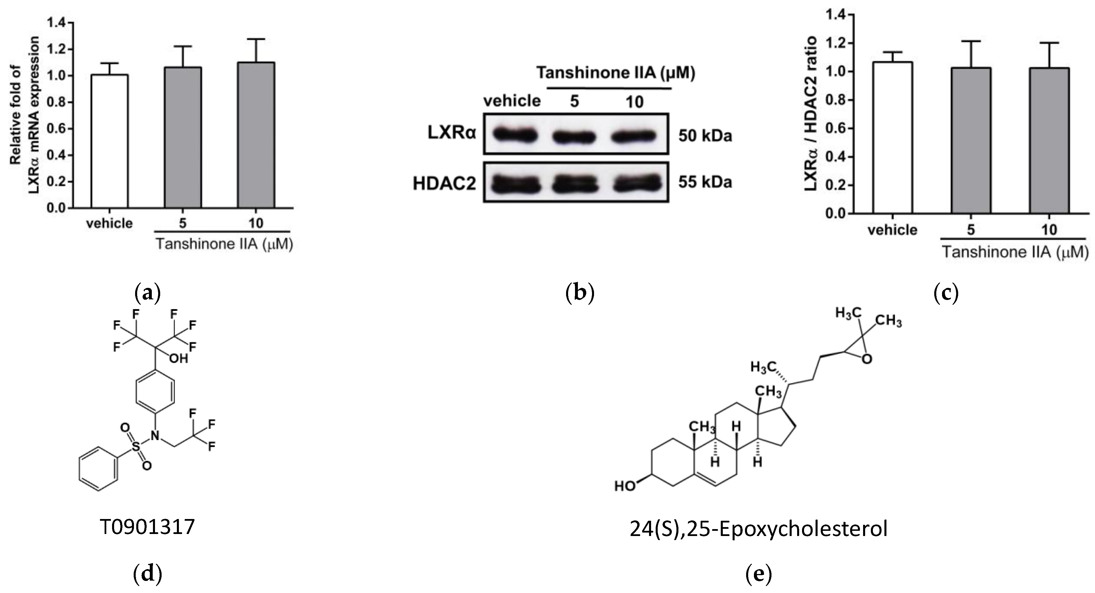 Biomedicines 09 00326 g007a Biomedicines 09 00326 g007a