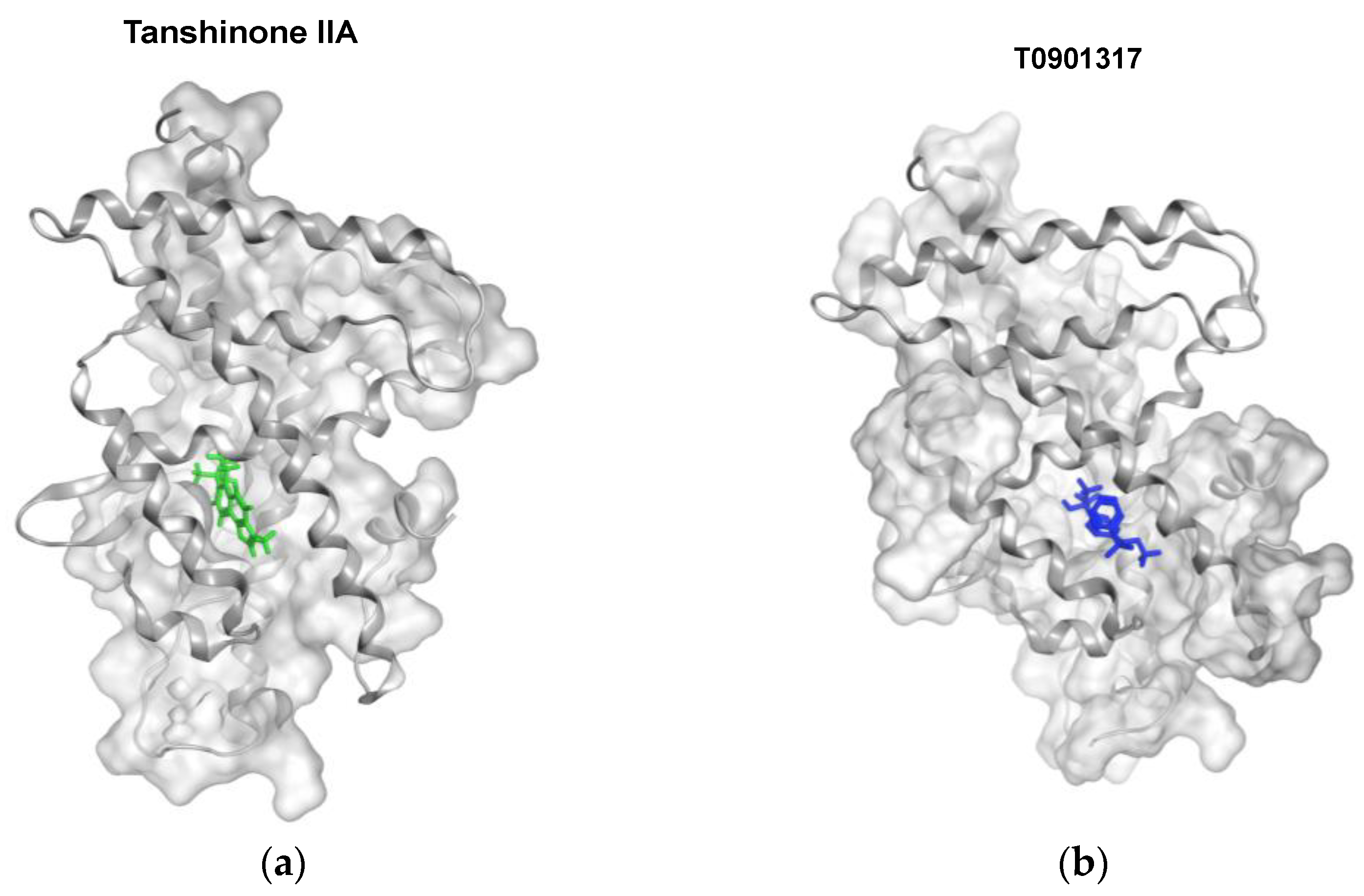 Biomedicines 09 00326 g009a Biomedicines 09 00326 g009a