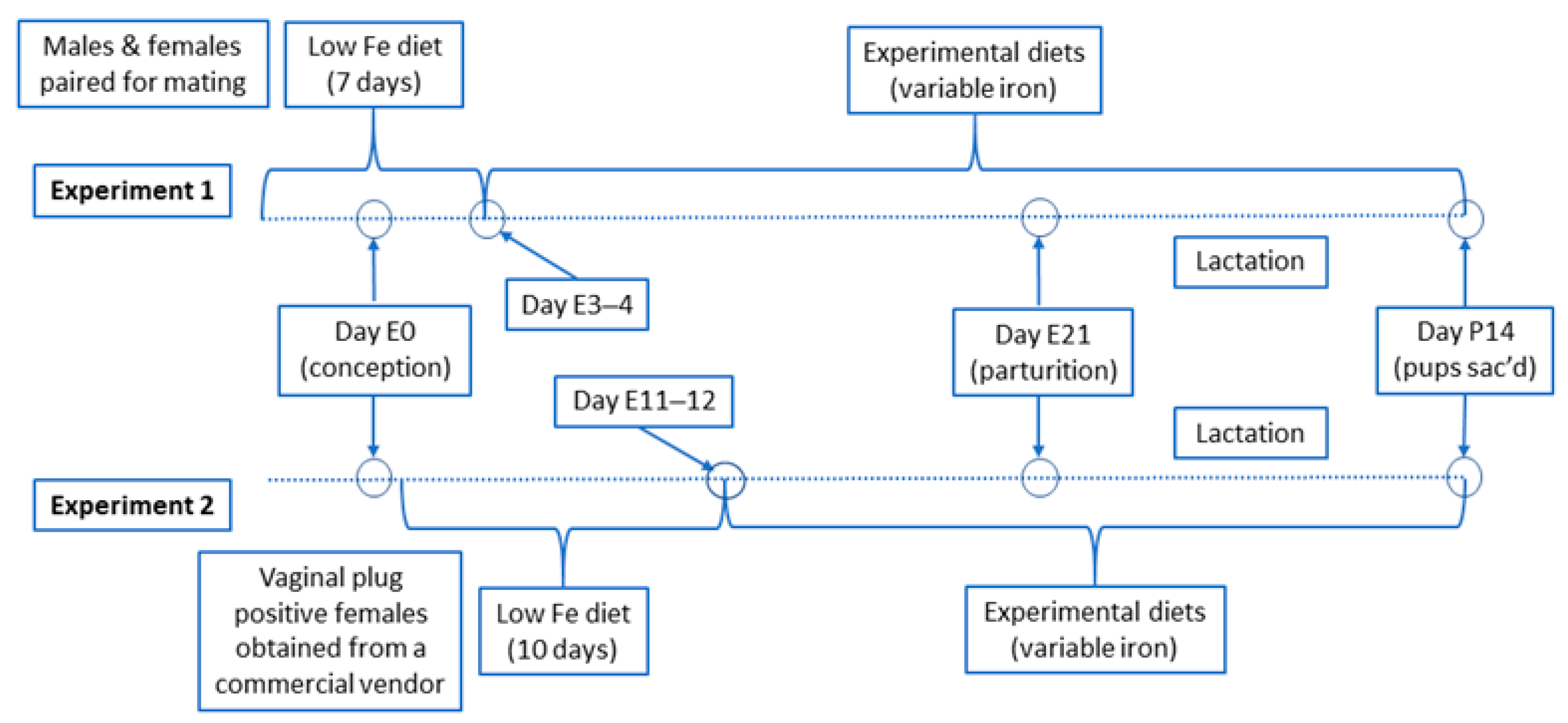 Biomedicines 09 00338 g001 Biomedicines 09 00338 g001