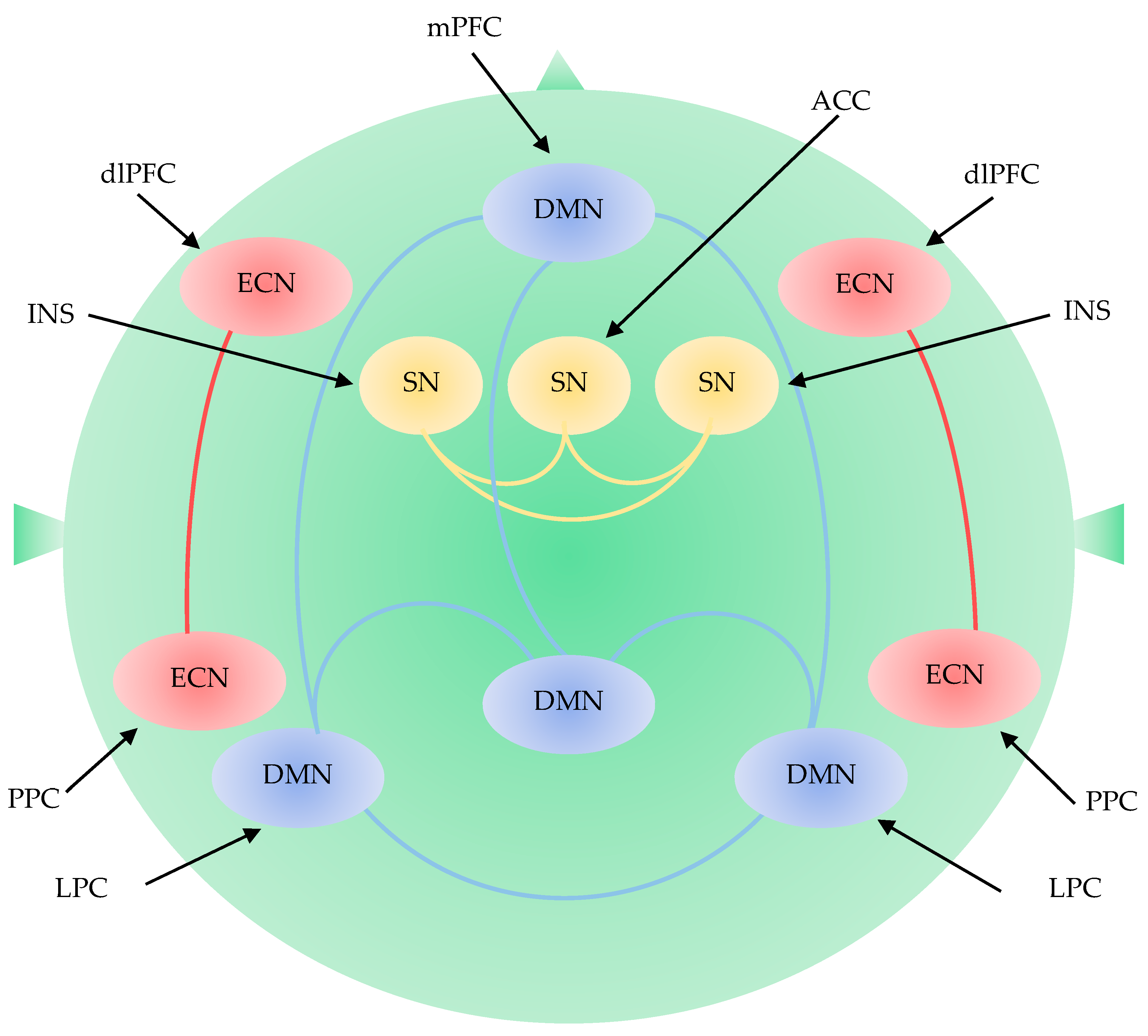 Biomedicines 09 00340 g004