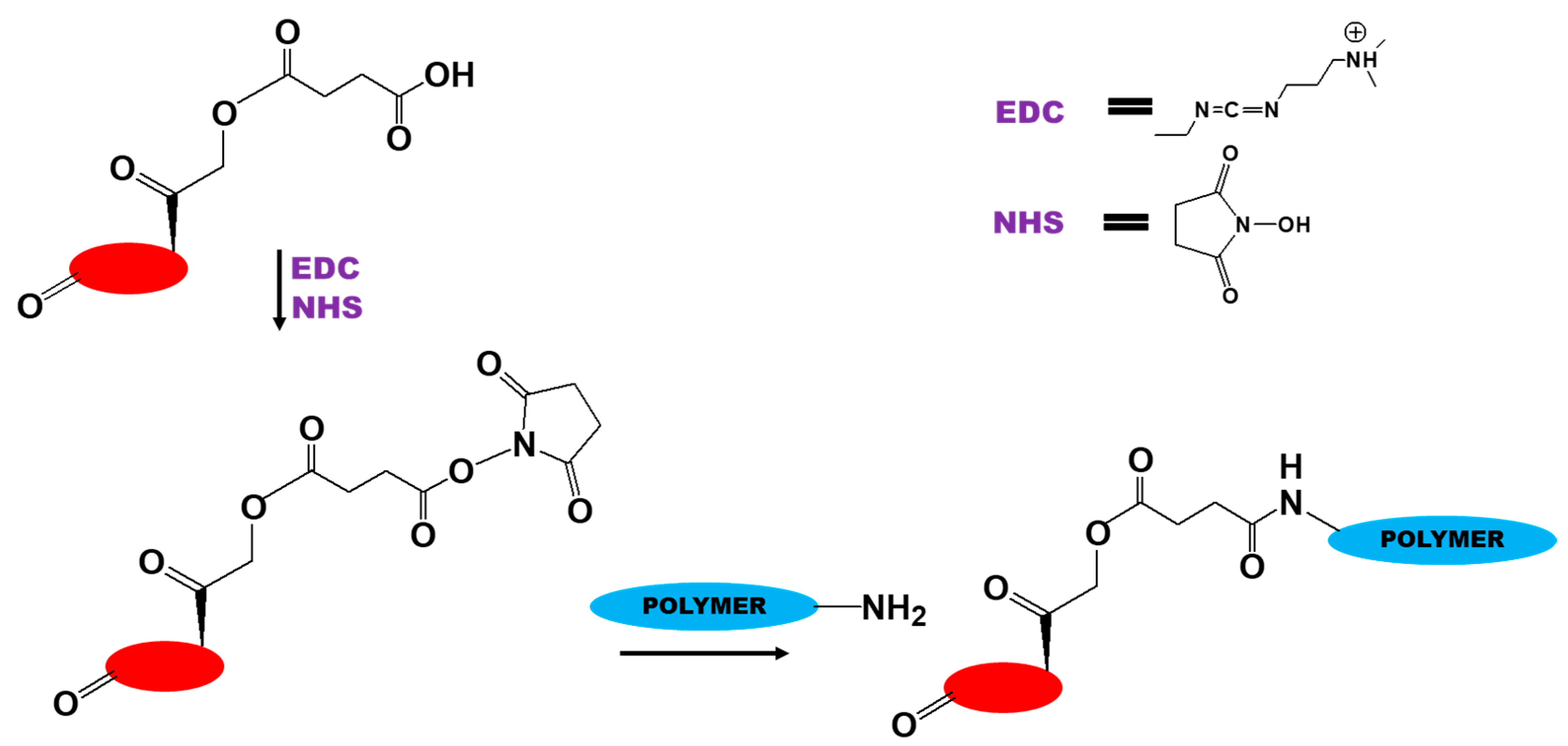 Biomedicines 09 00341 g004