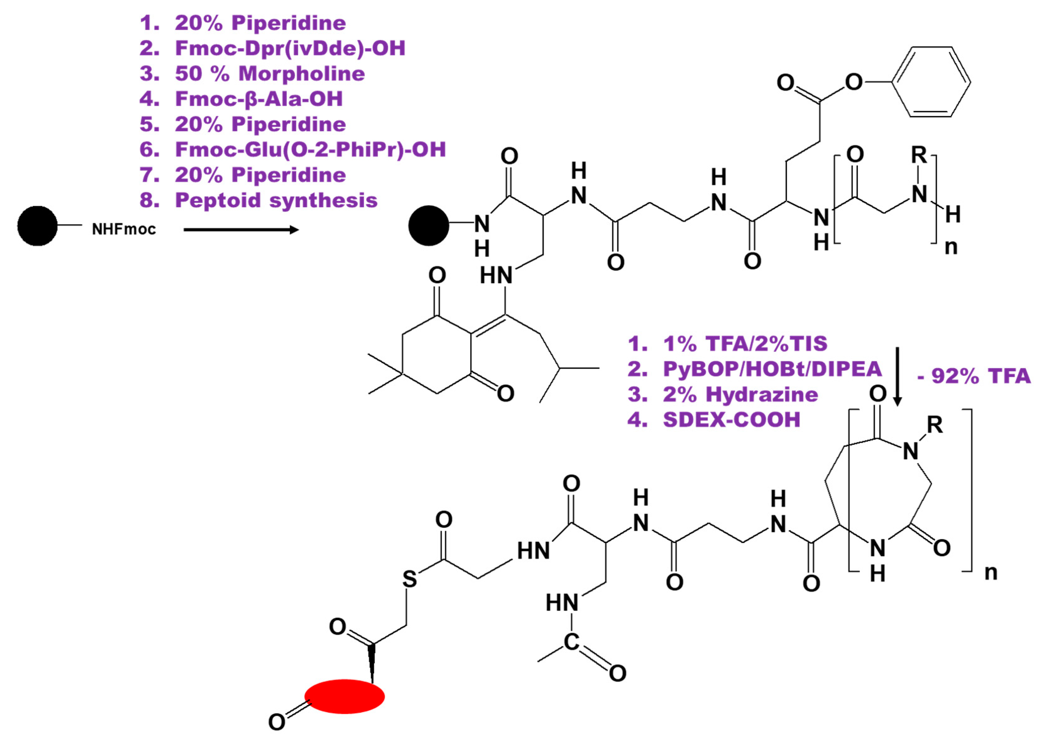 Biomedicines 09 00341 g005