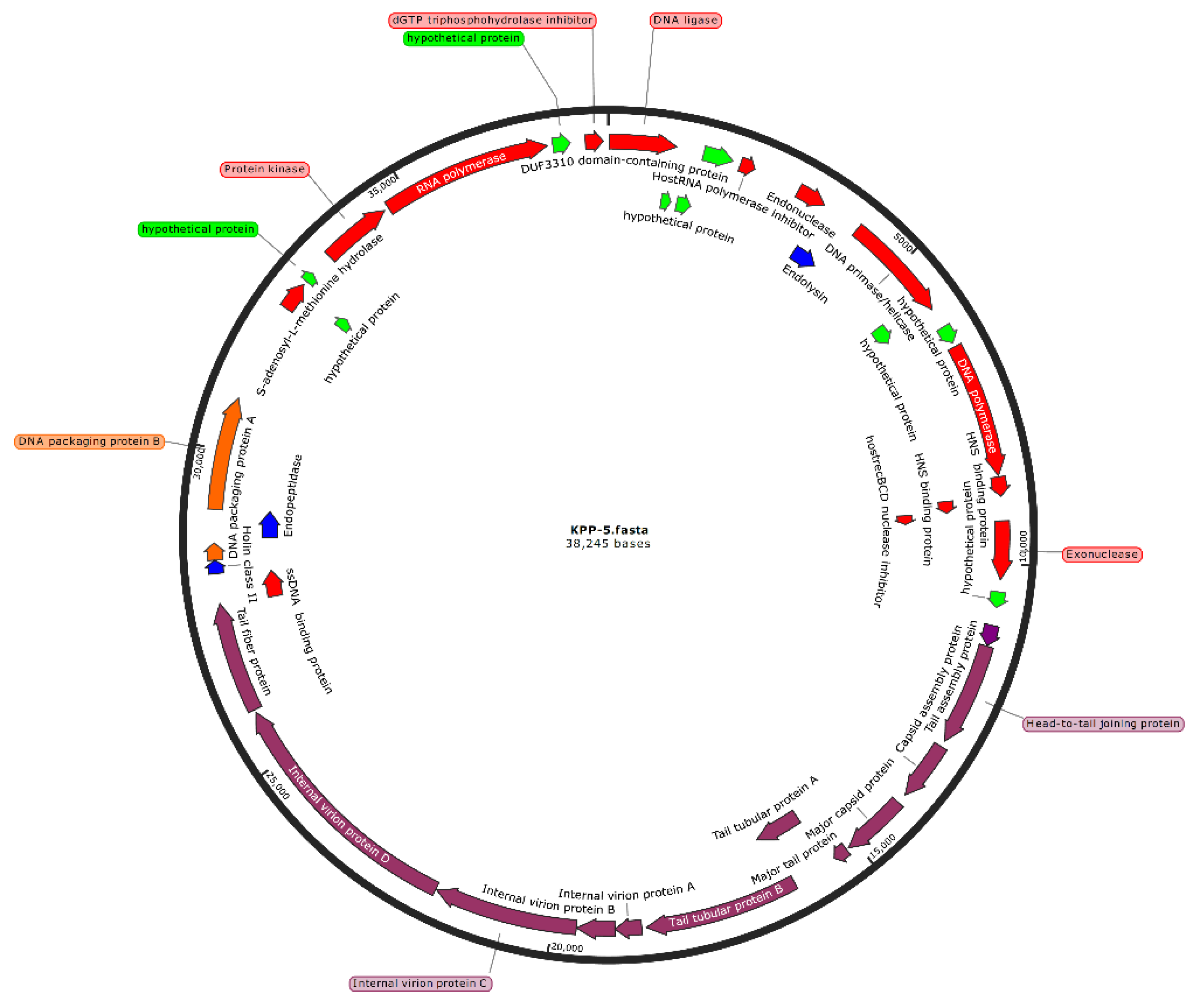 Biomedicines 09 00342 g003