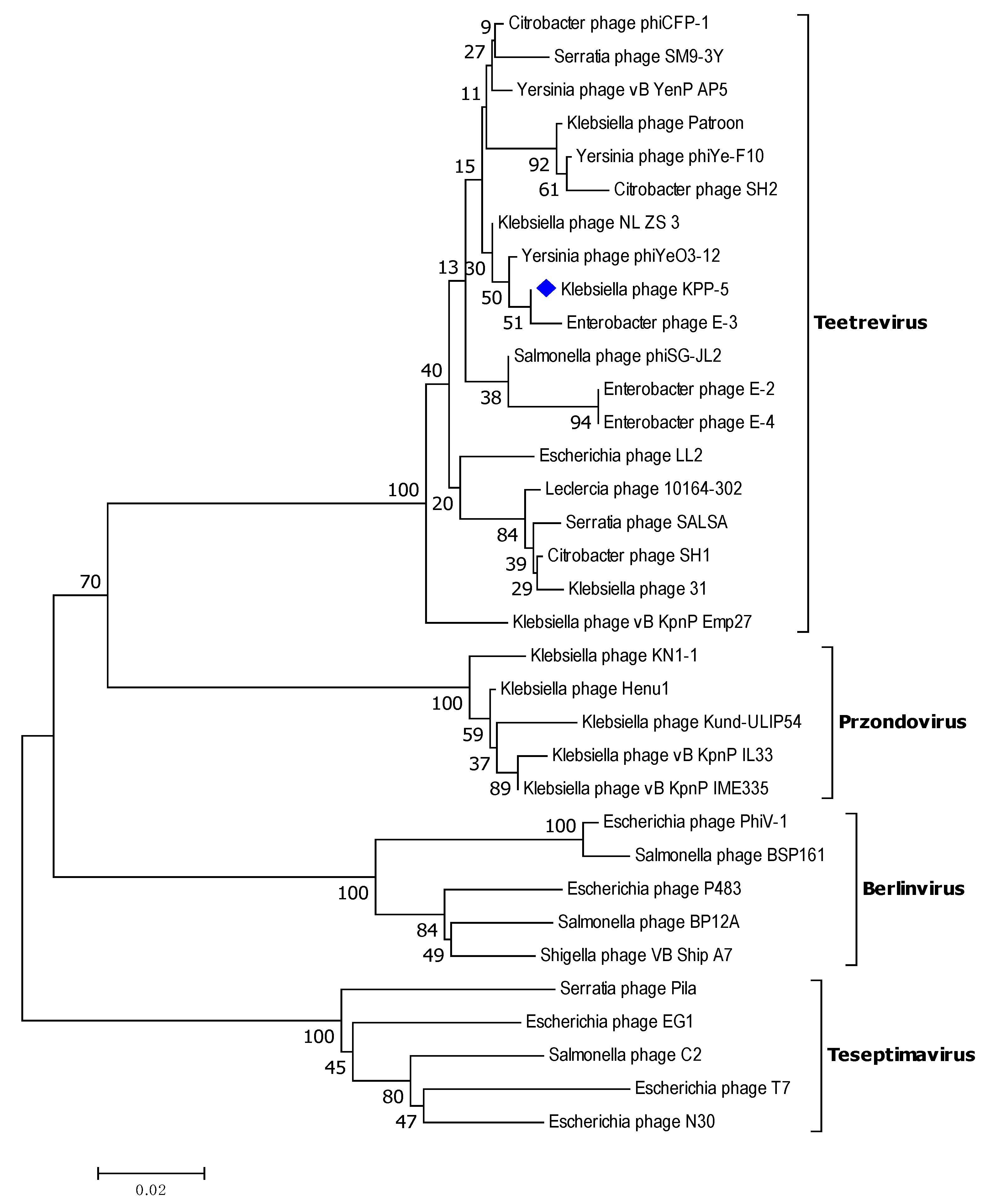 Biomedicines 09 00342 g008