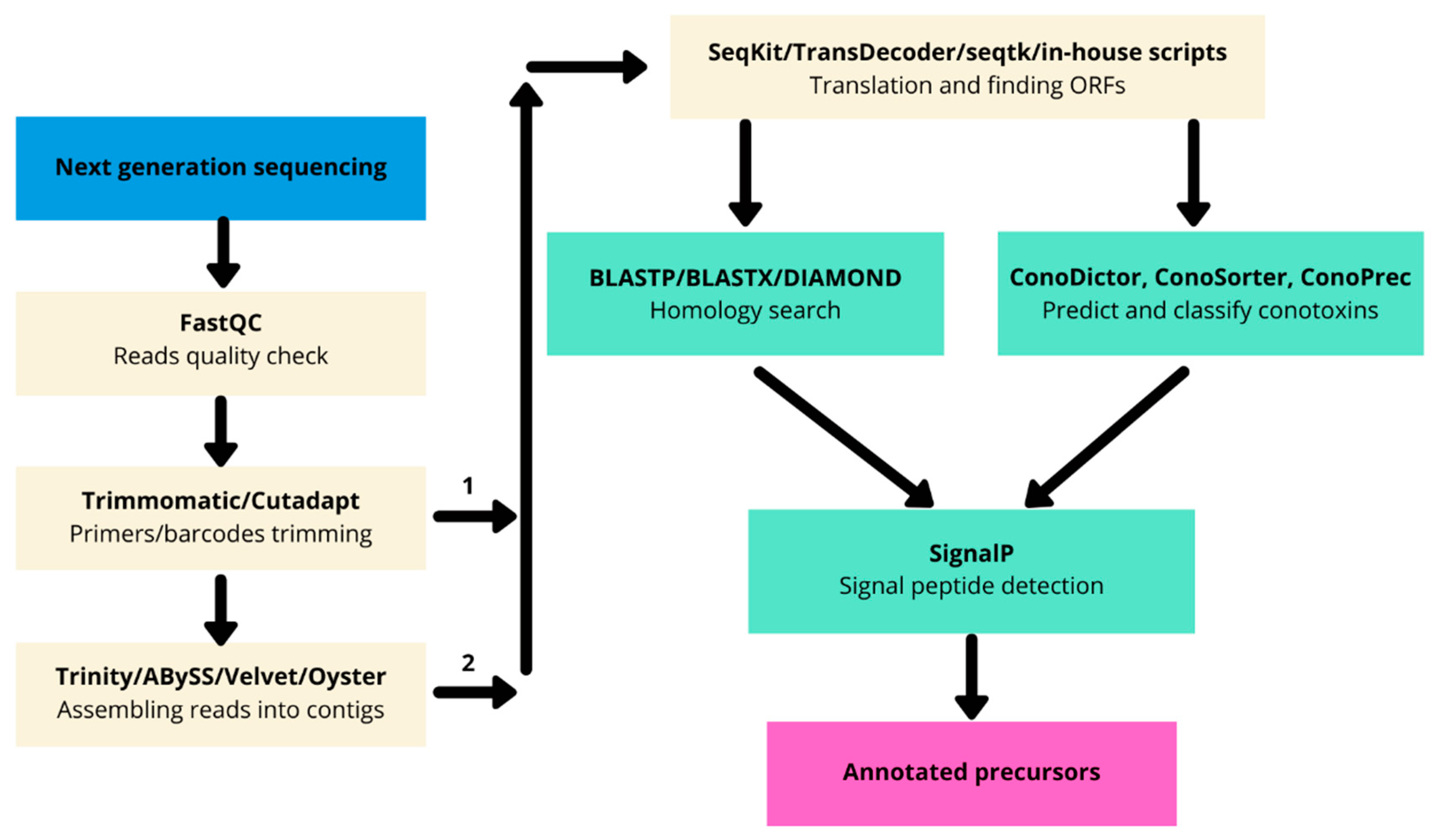 Biomedicines 09 00344 g002 Biomedicines 09 00344 g002