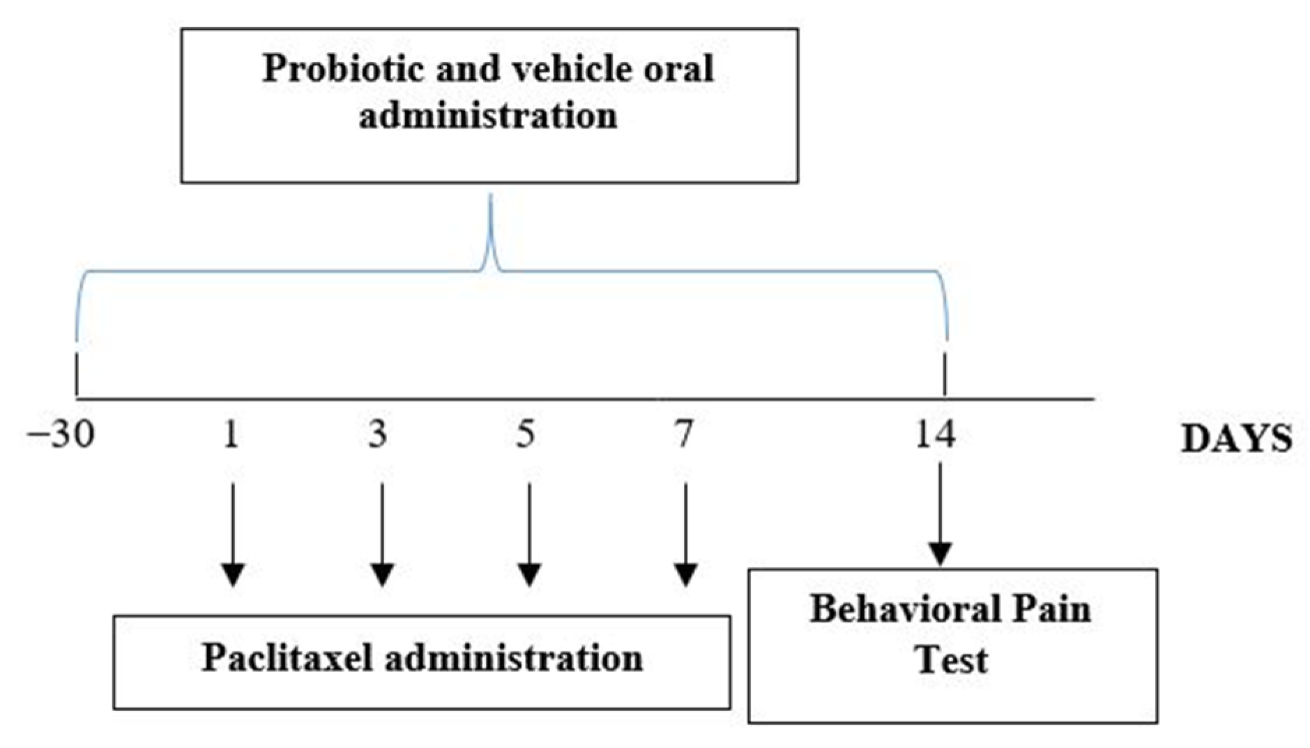 Biomedicines 09 00346 g001