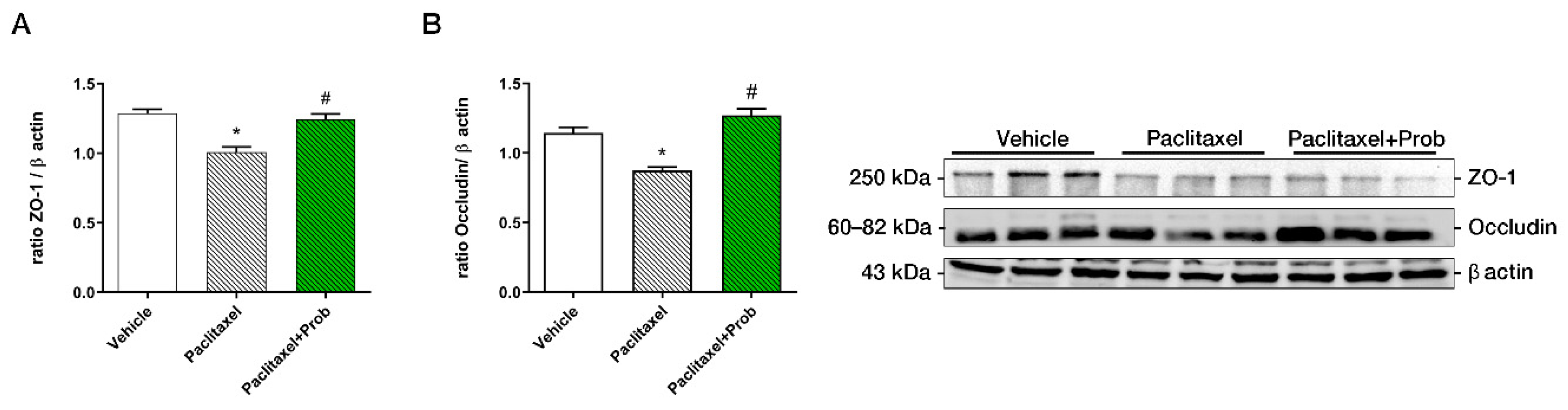 Biomedicines 09 00346 g002
