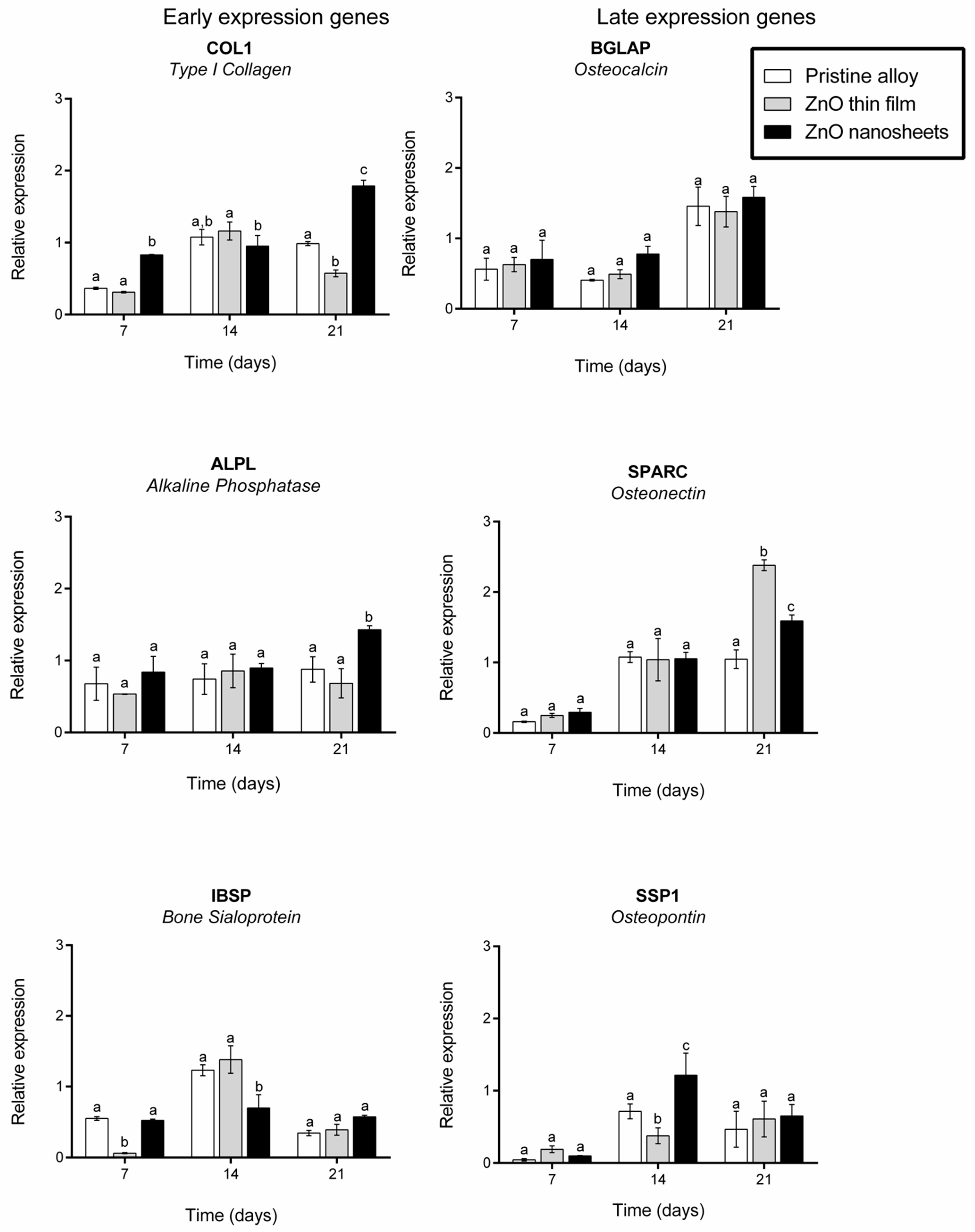 Biomedicines 09 00352 g008