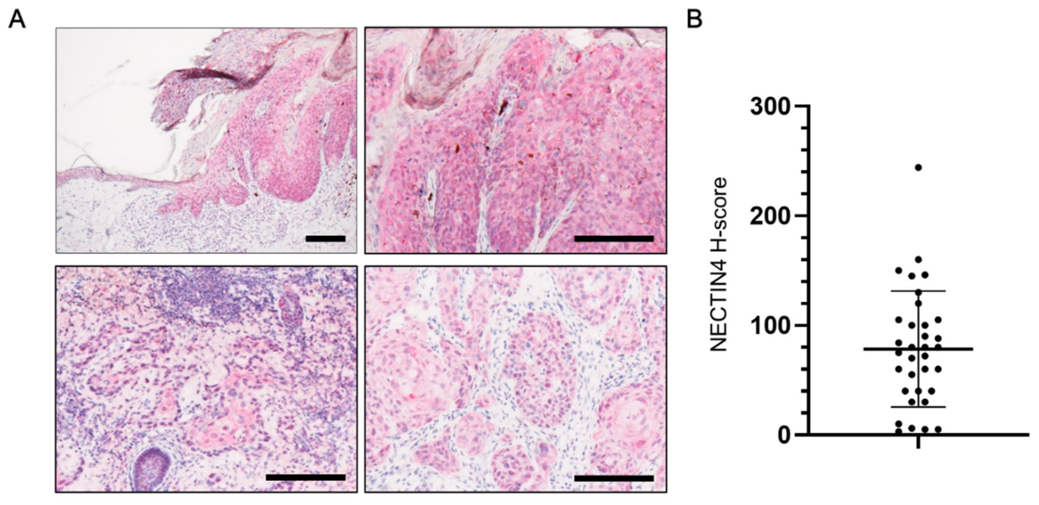 Biomedicines 09 00355 g001 Biomedicines 09 00355 g001