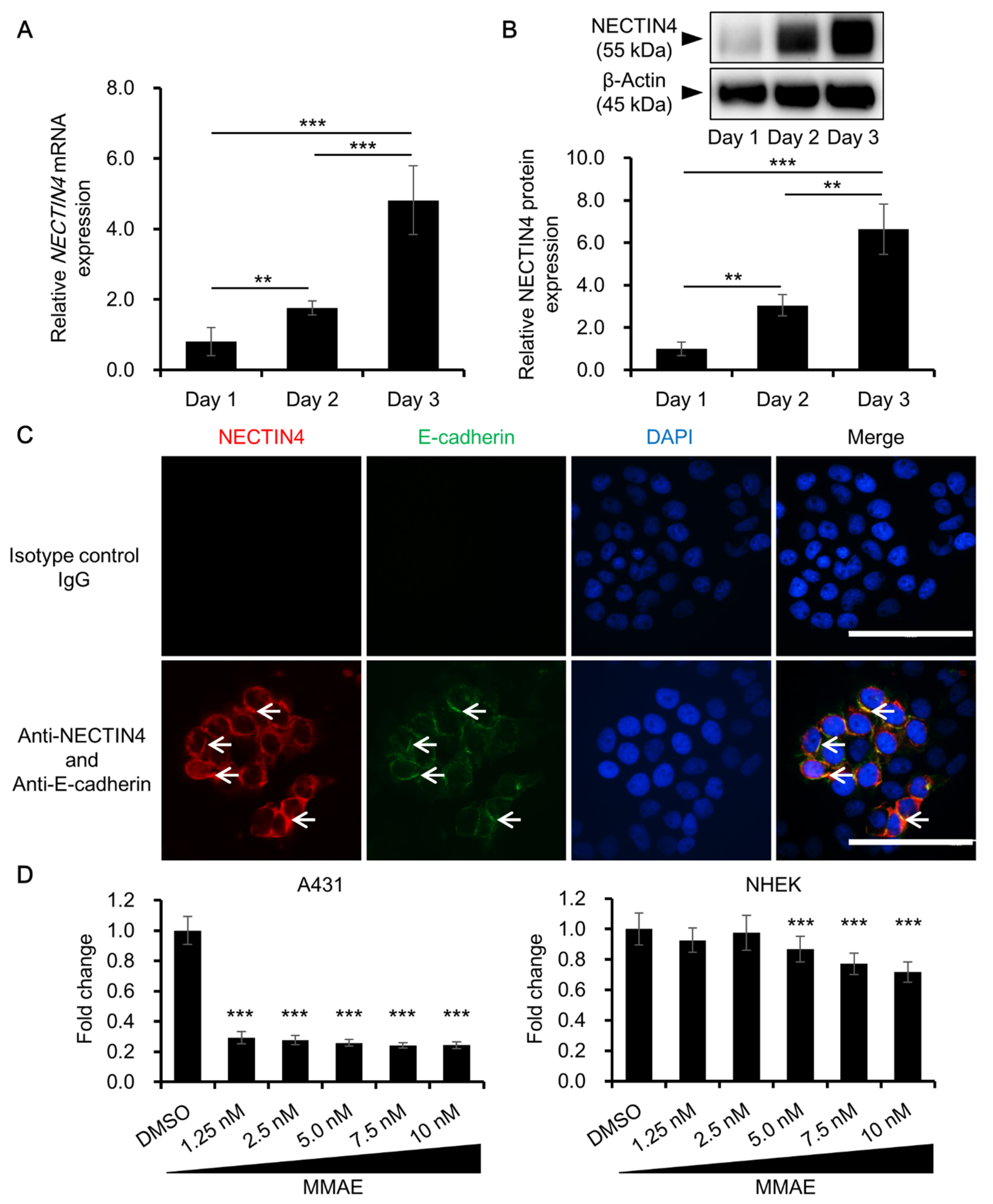 Biomedicines 09 00355 g002 Biomedicines 09 00355 g002