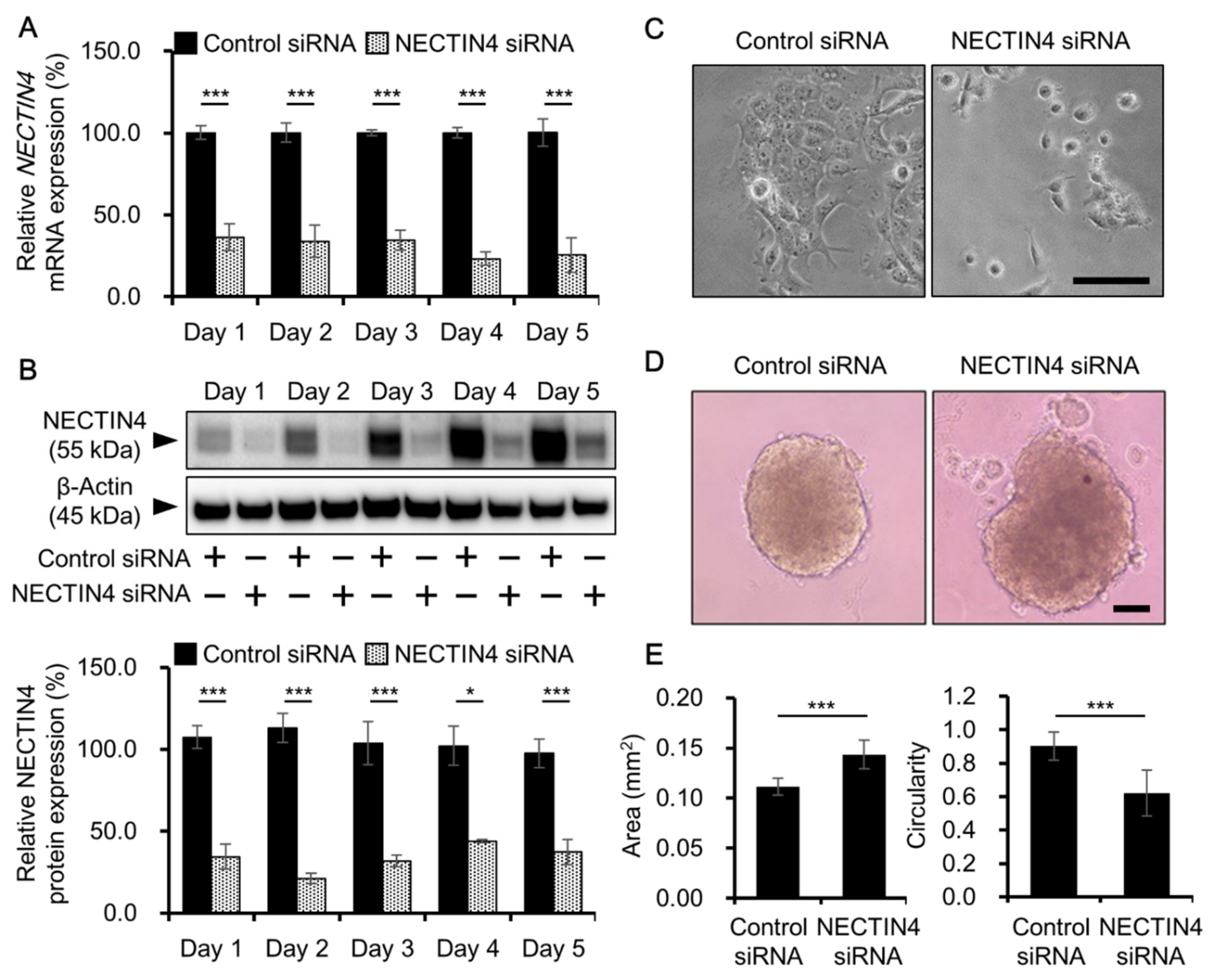 Biomedicines 09 00355 g003 Biomedicines 09 00355 g003