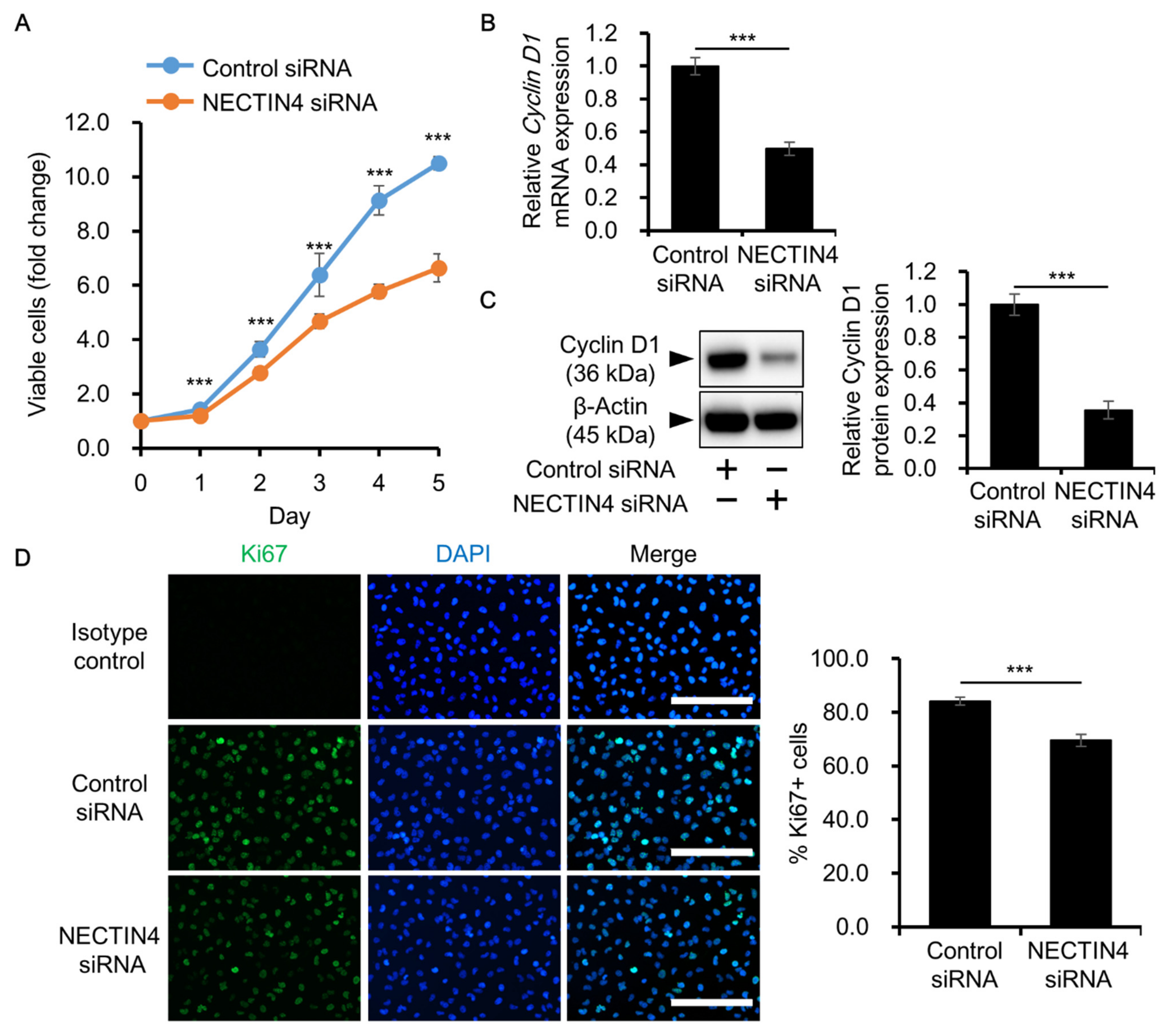 Biomedicines 09 00355 g005 Biomedicines 09 00355 g005