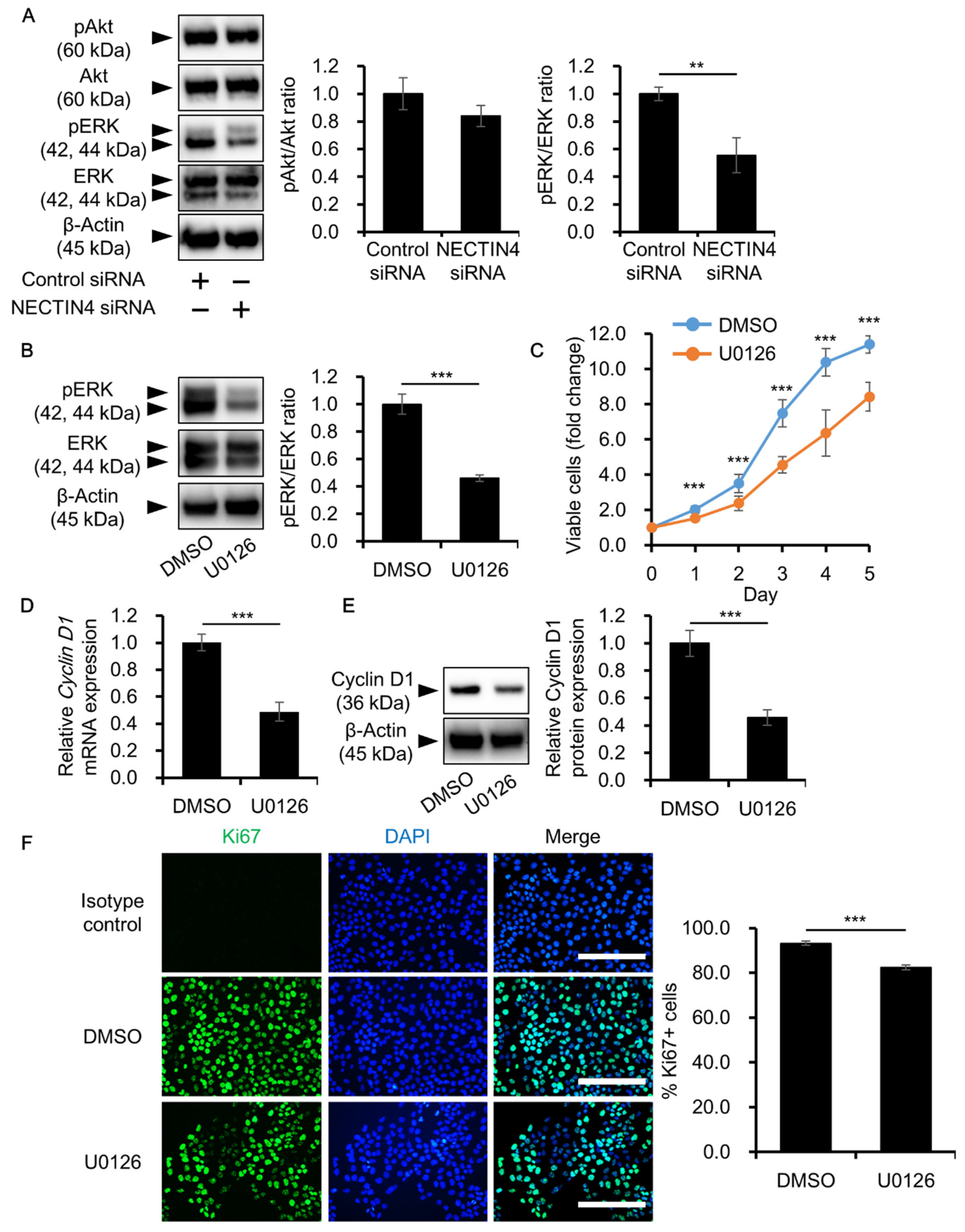 Biomedicines 09 00355 g006 Biomedicines 09 00355 g006