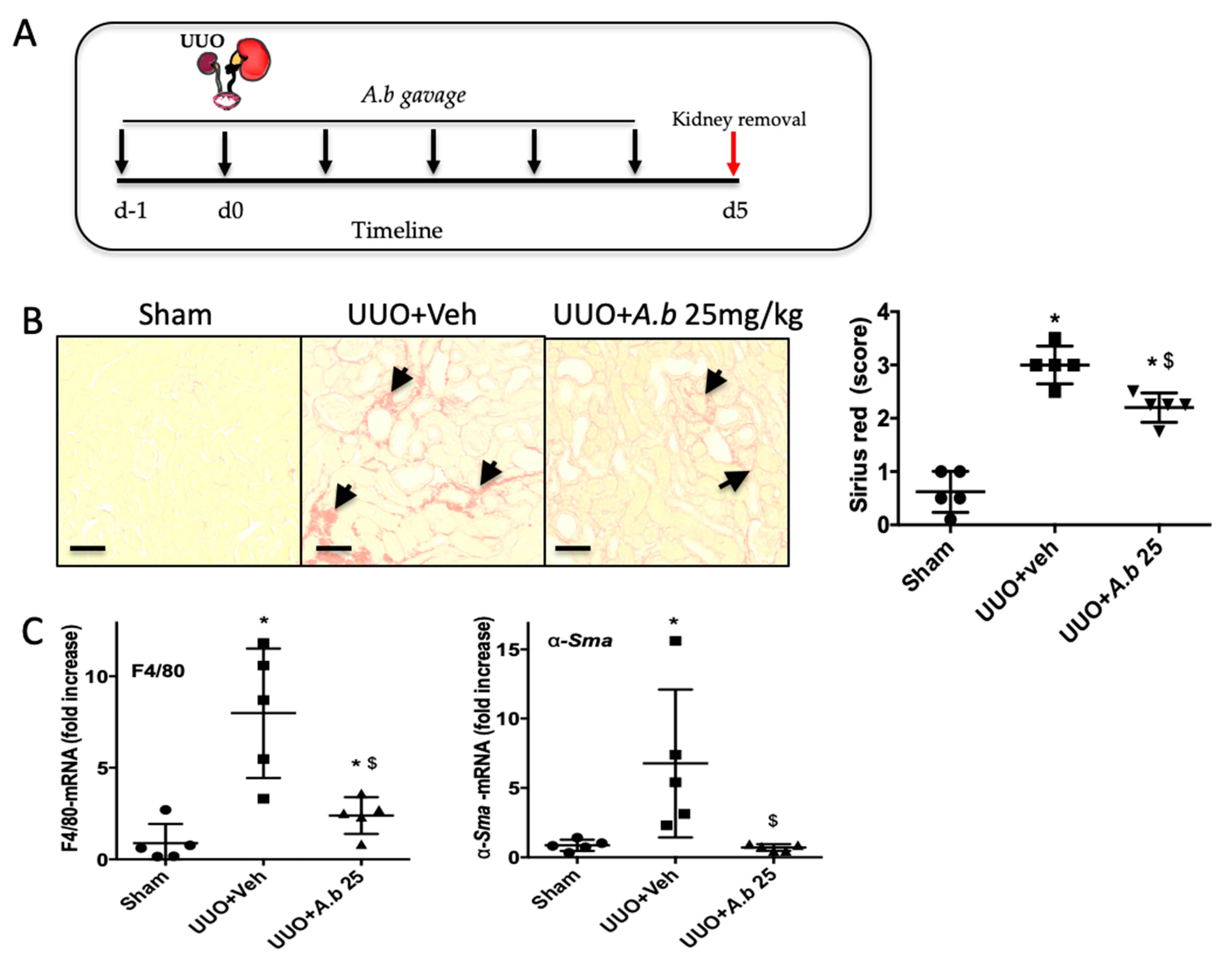 Biomedicines 09 00358 g002