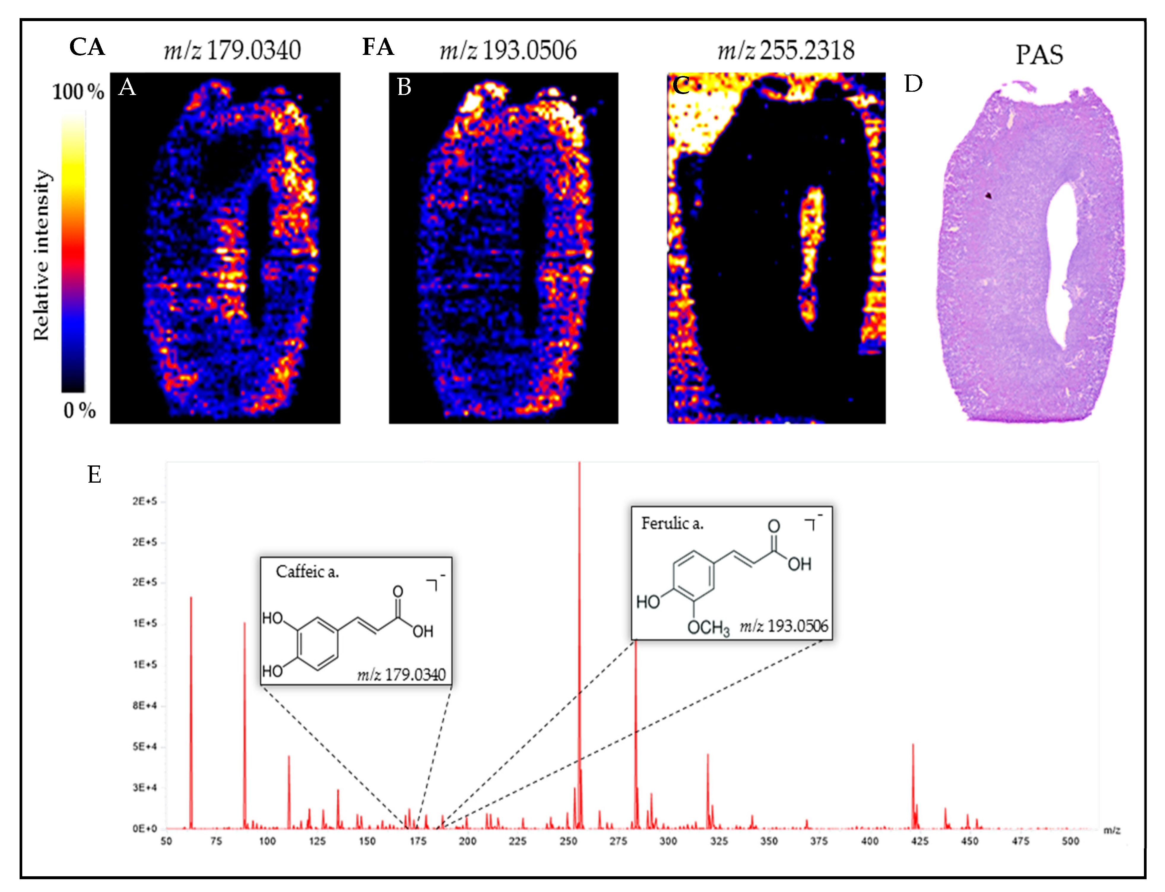 Biomedicines 09 00358 g008