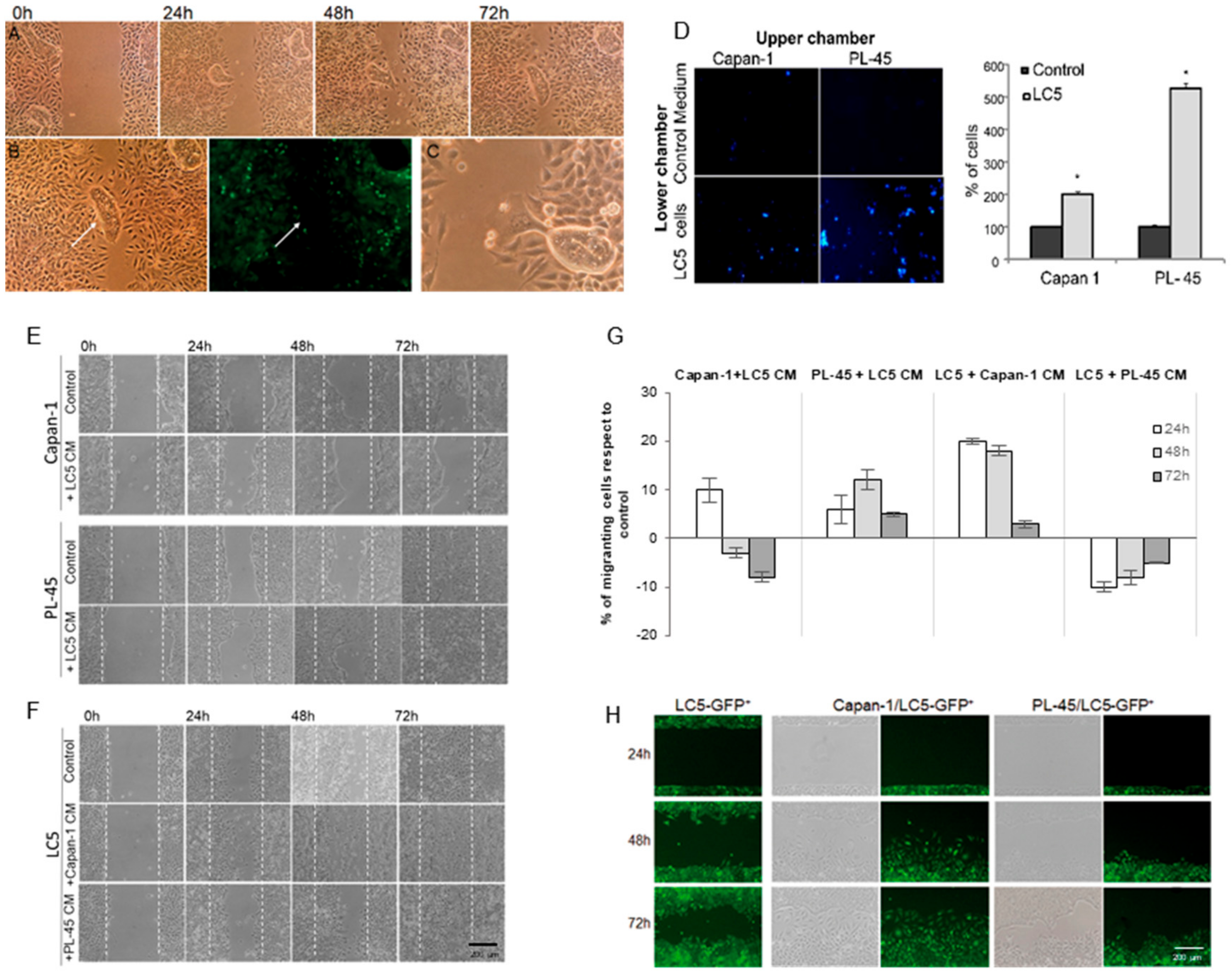Biomedicines 09 00364 g004