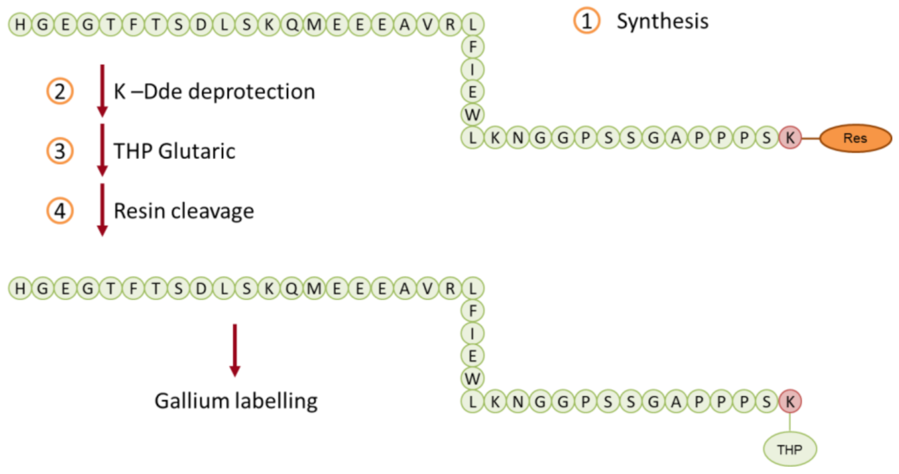 Biomedicines 09 00367 g006 Biomedicines 09 00367 g006