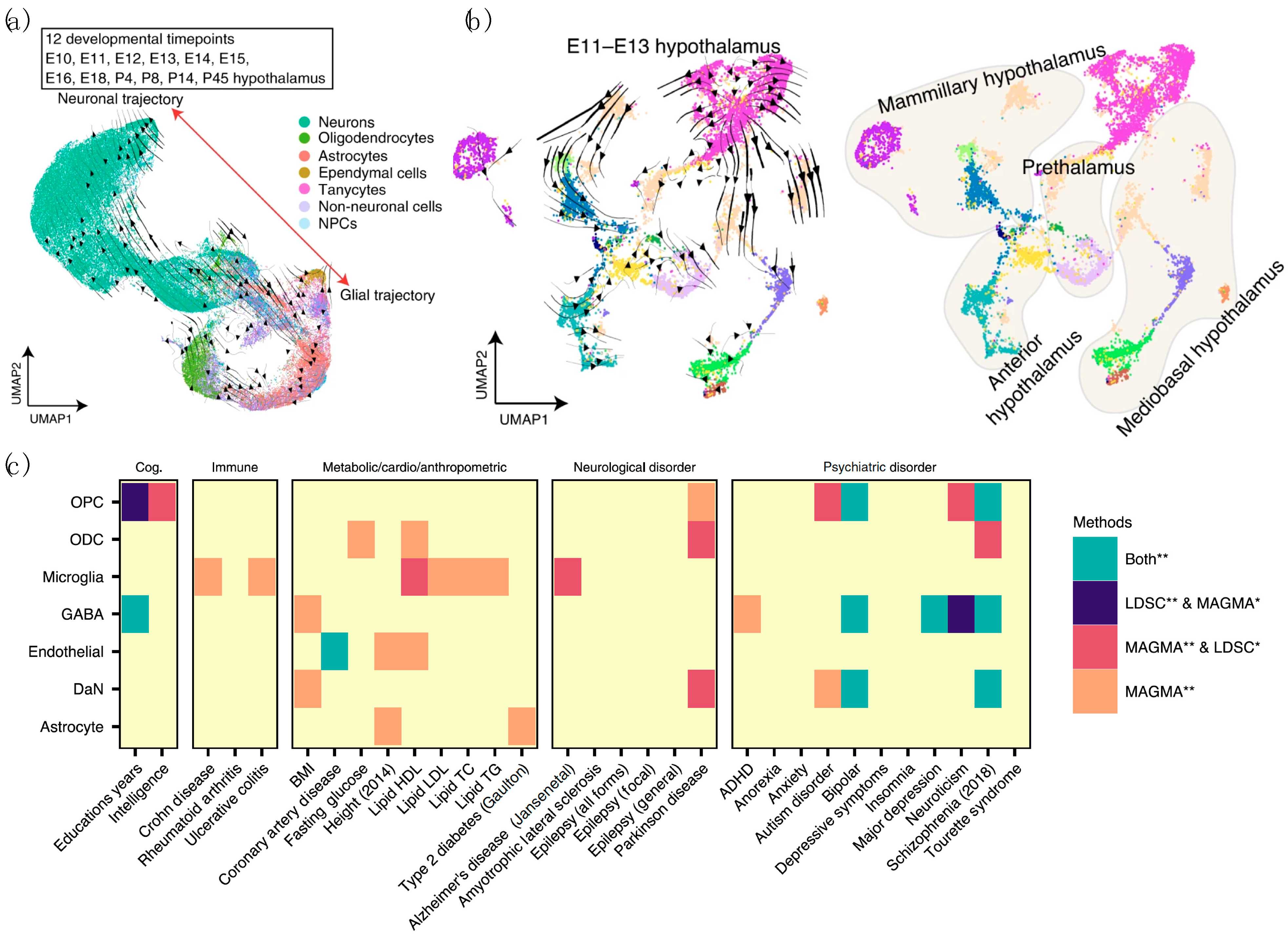 Biomedicines 09 00368 g004 Biomedicines 09 00368 g004