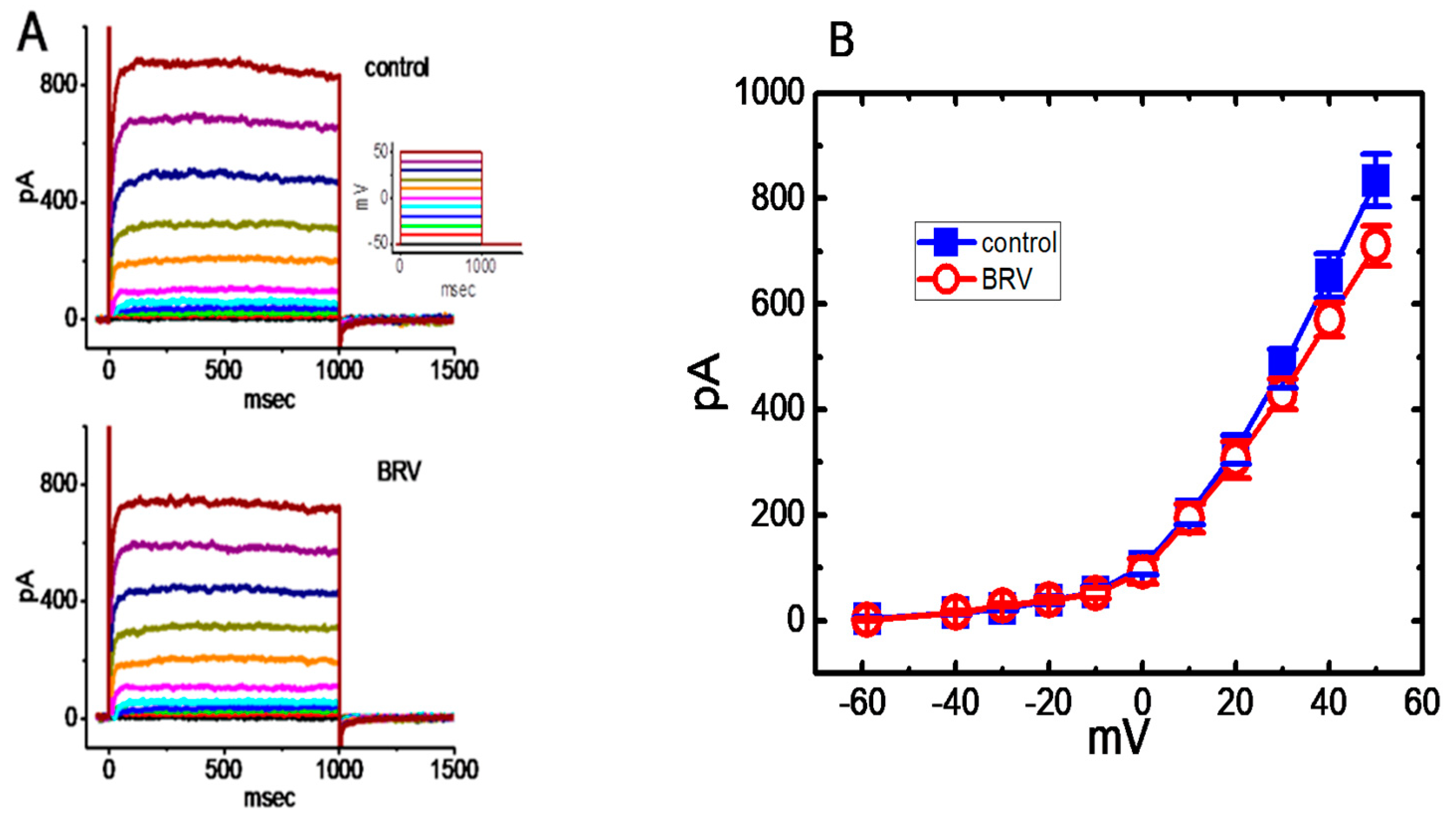 Biomedicines 09 00369 g002