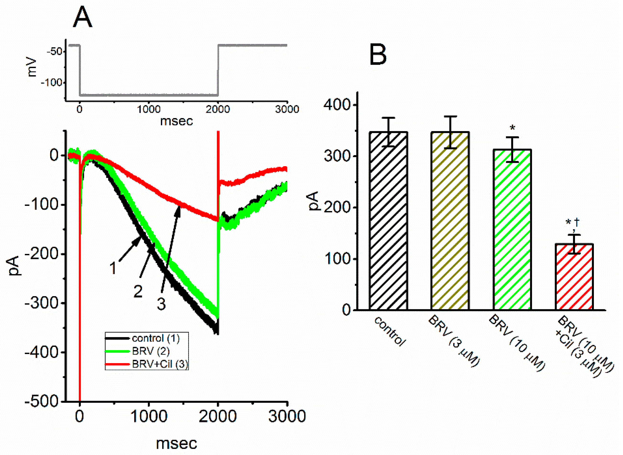 Biomedicines 09 00369 g003