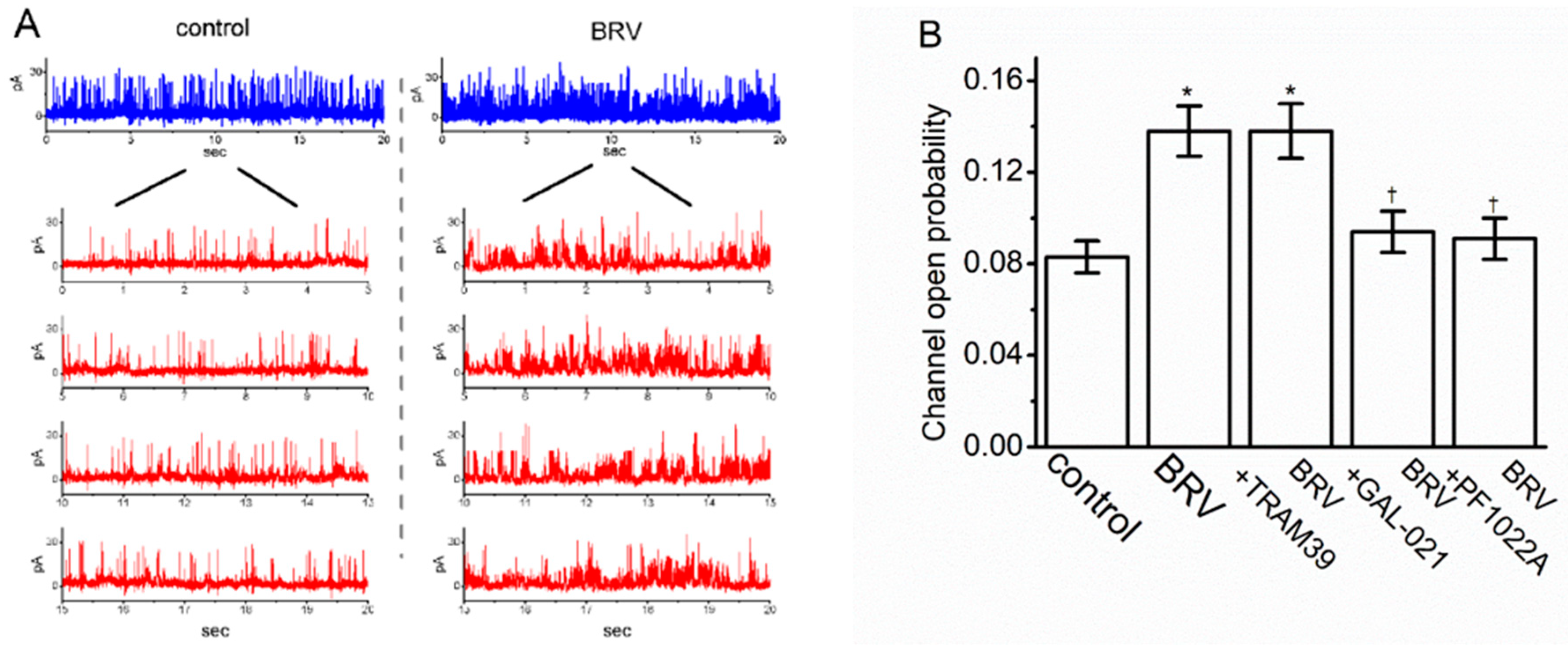 Biomedicines 09 00369 g006