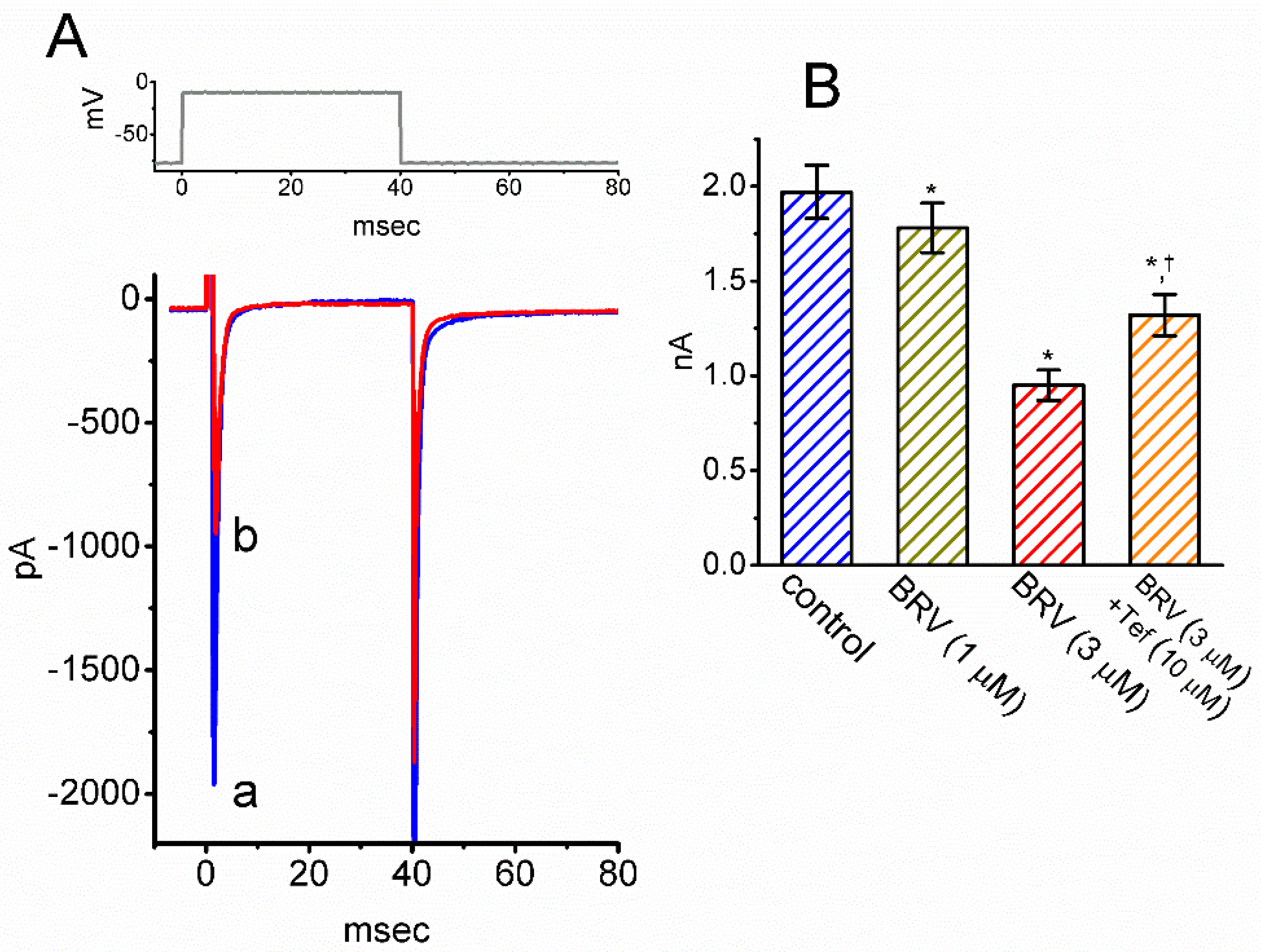 Biomedicines 09 00369 g007
