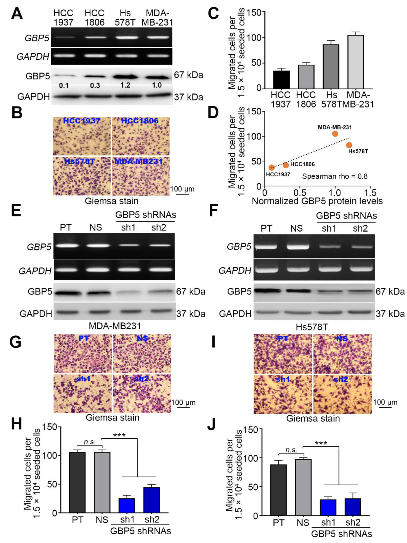 Biomedicines 09 00371 g003 Biomedicines 09 00371 g003