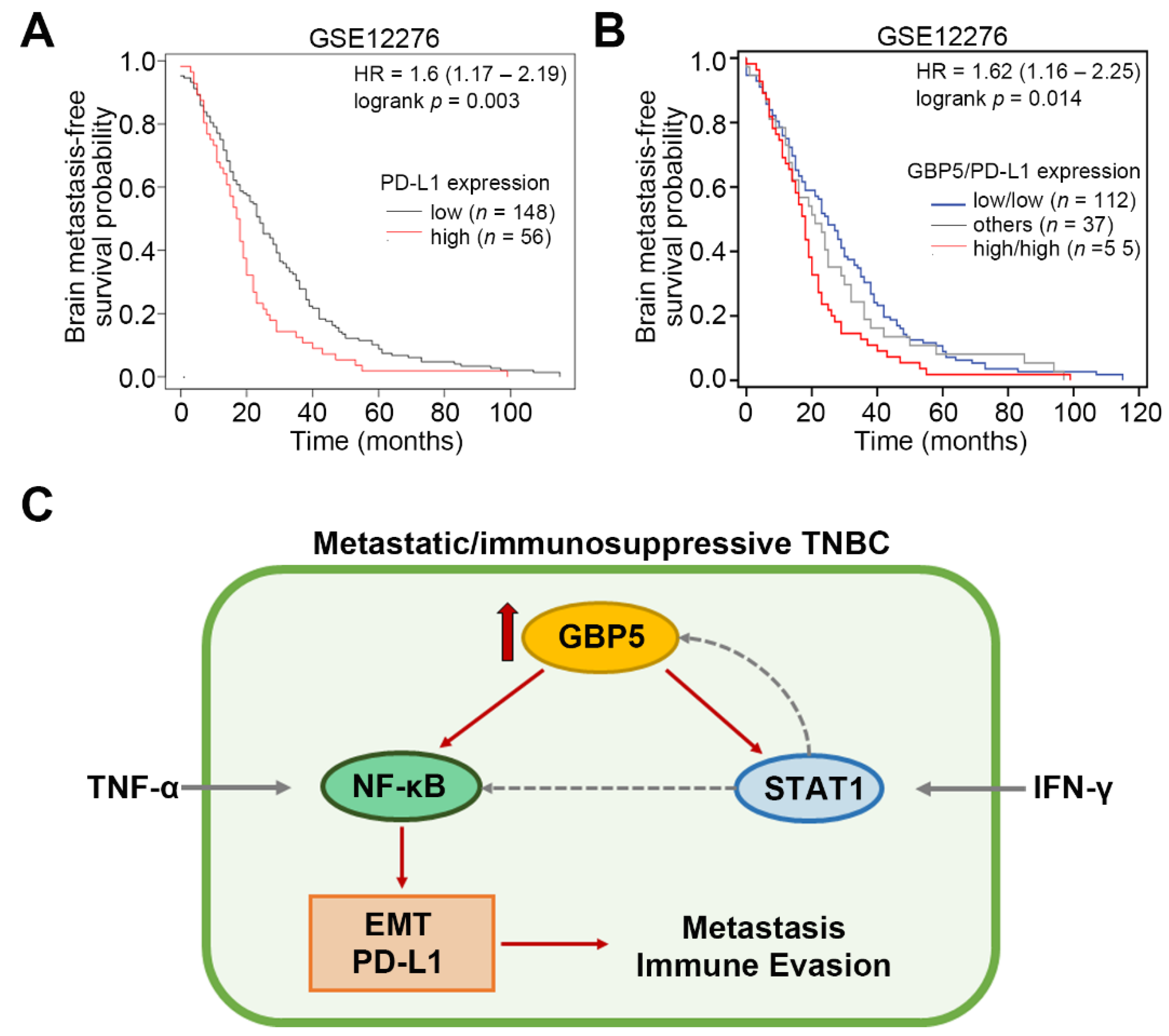Biomedicines 09 00371 g006 Biomedicines 09 00371 g006