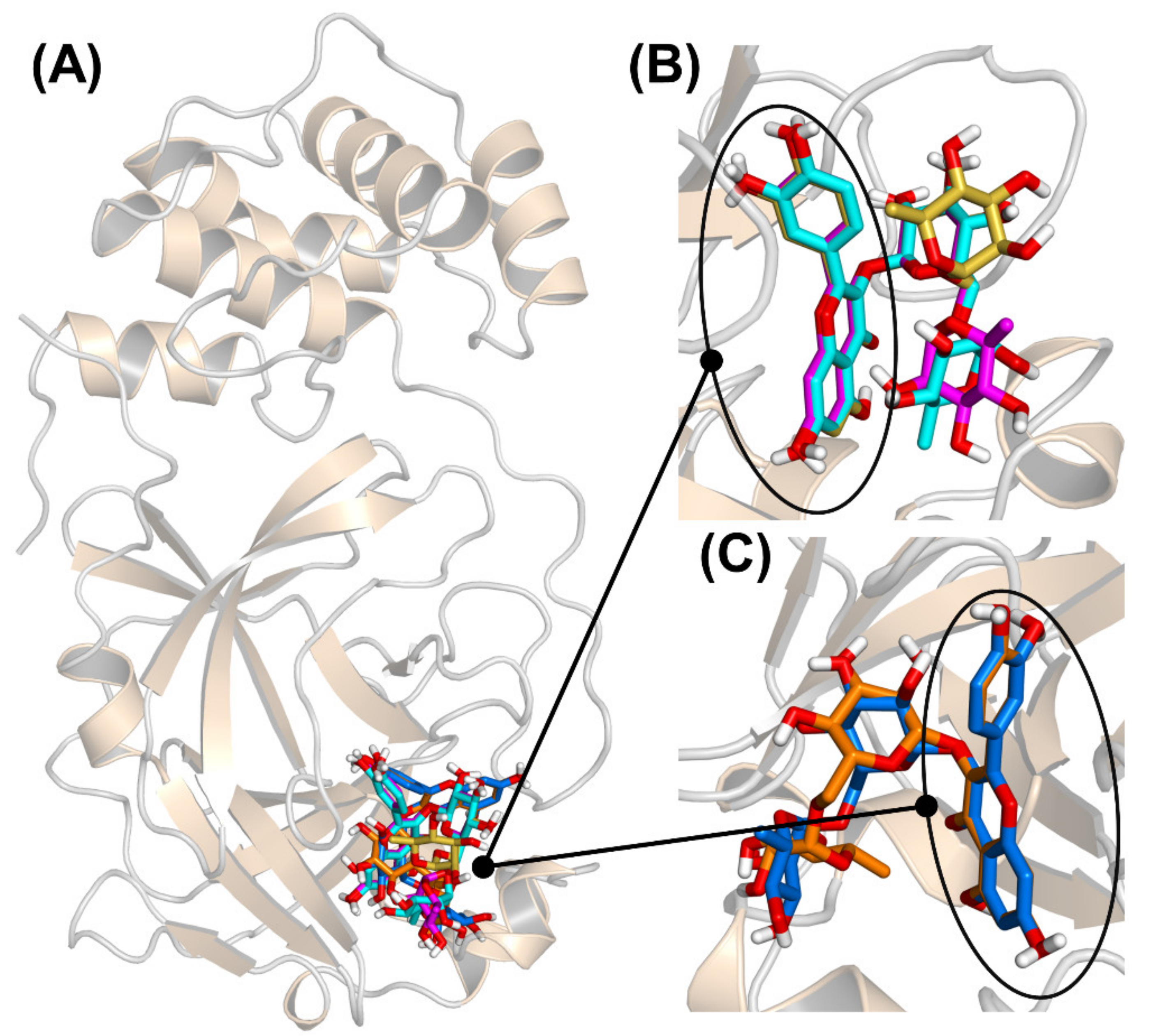 Biomedicines 09 00375 g005 Biomedicines 09 00375 g005