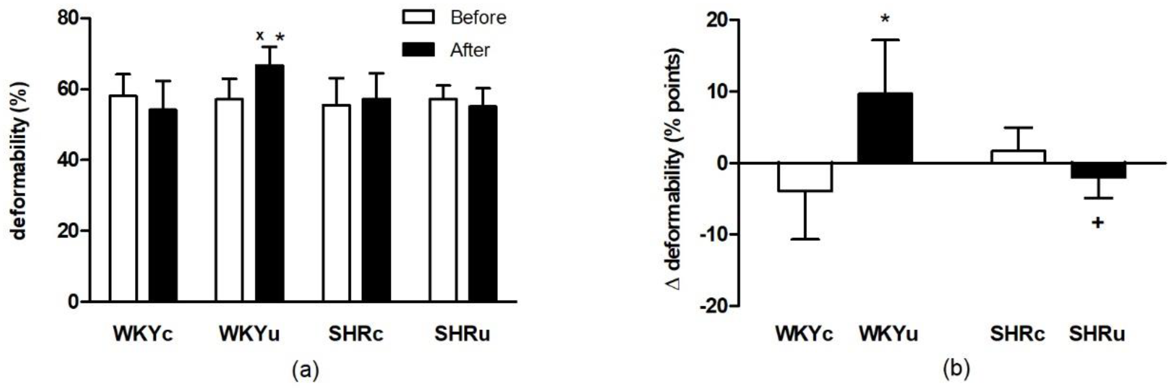 Biomedicines 09 00377 g001