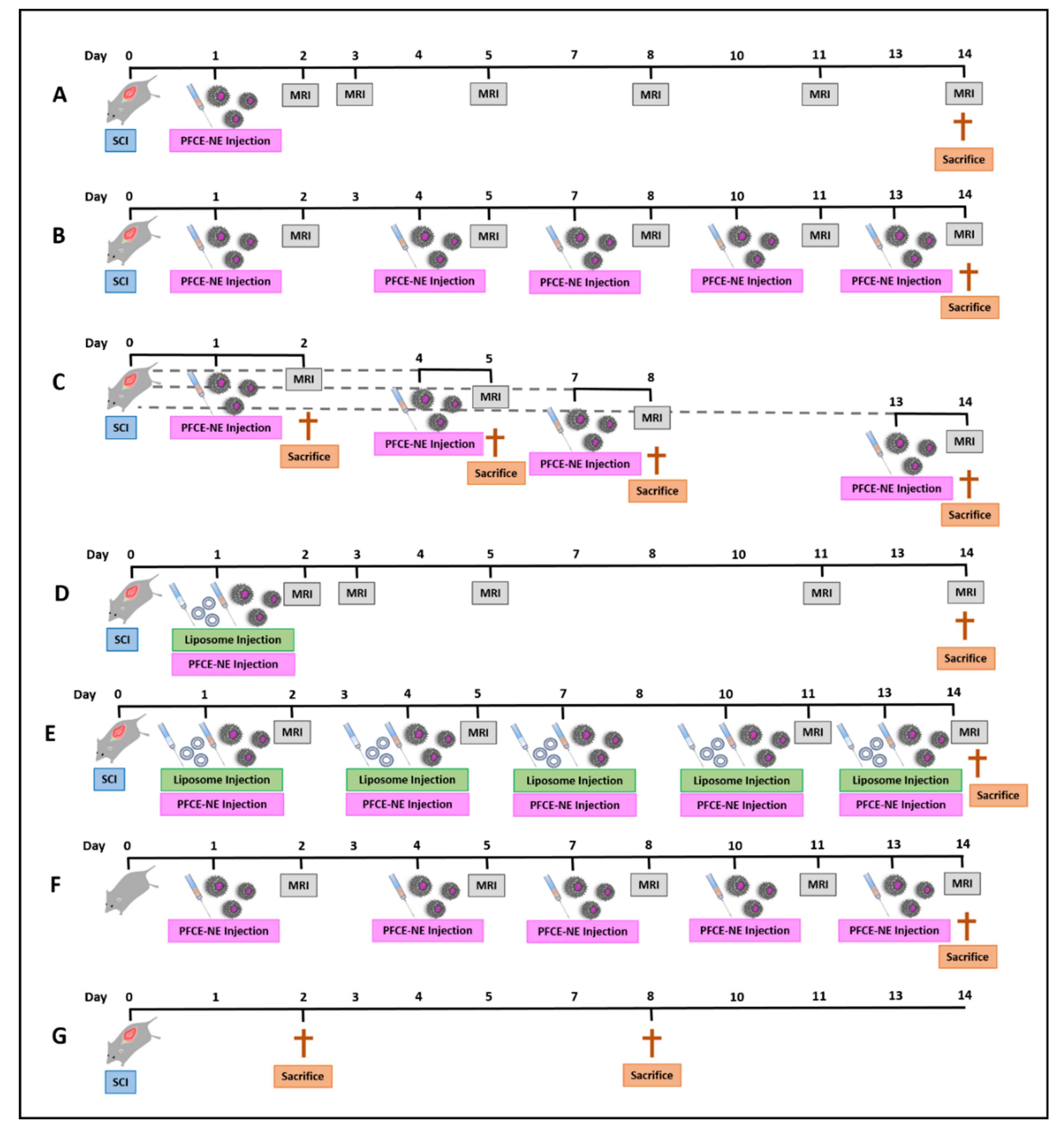Biomedicines 09 00379 g001 Biomedicines 09 00379 g001