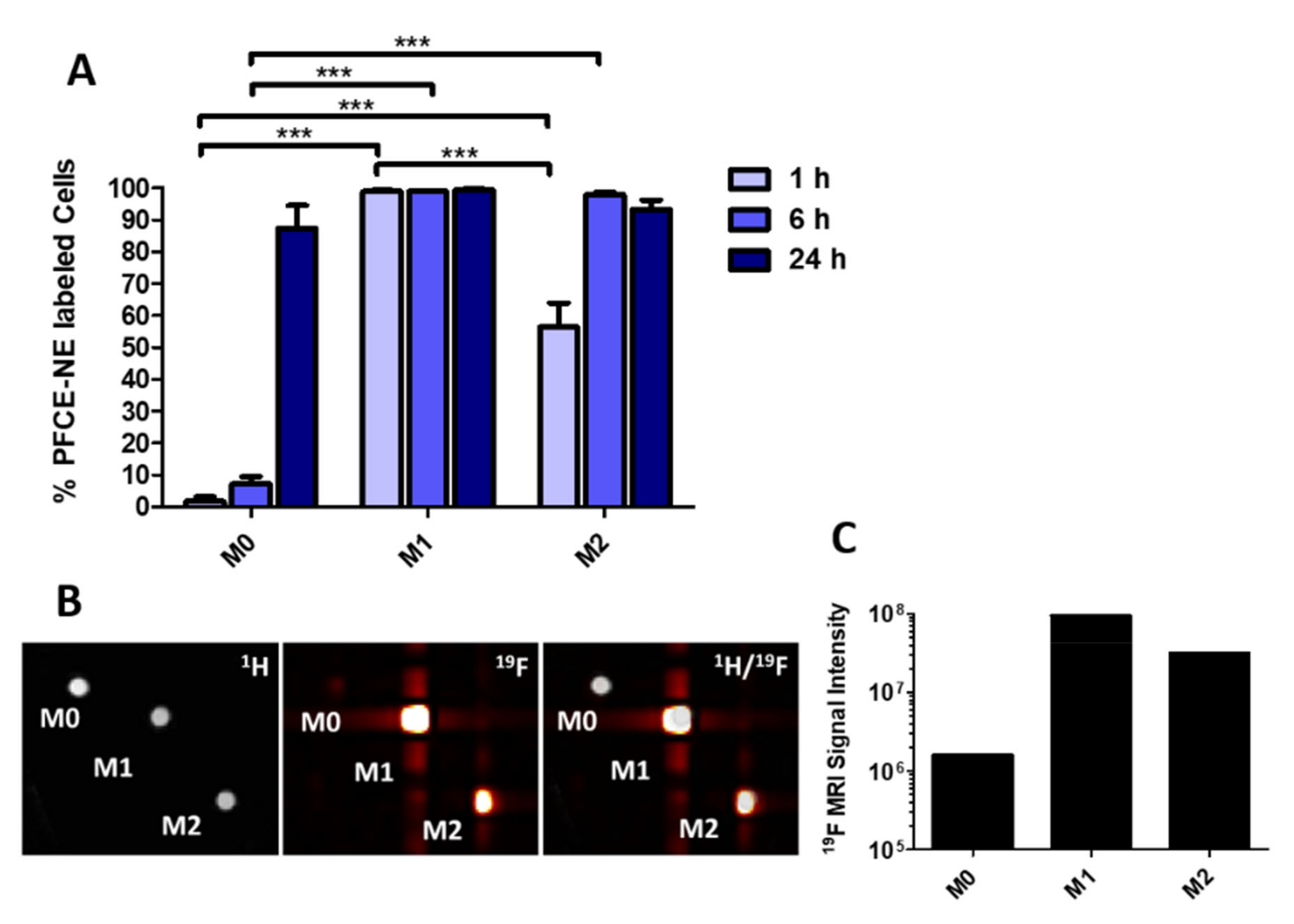 Biomedicines 09 00379 g002 Biomedicines 09 00379 g002