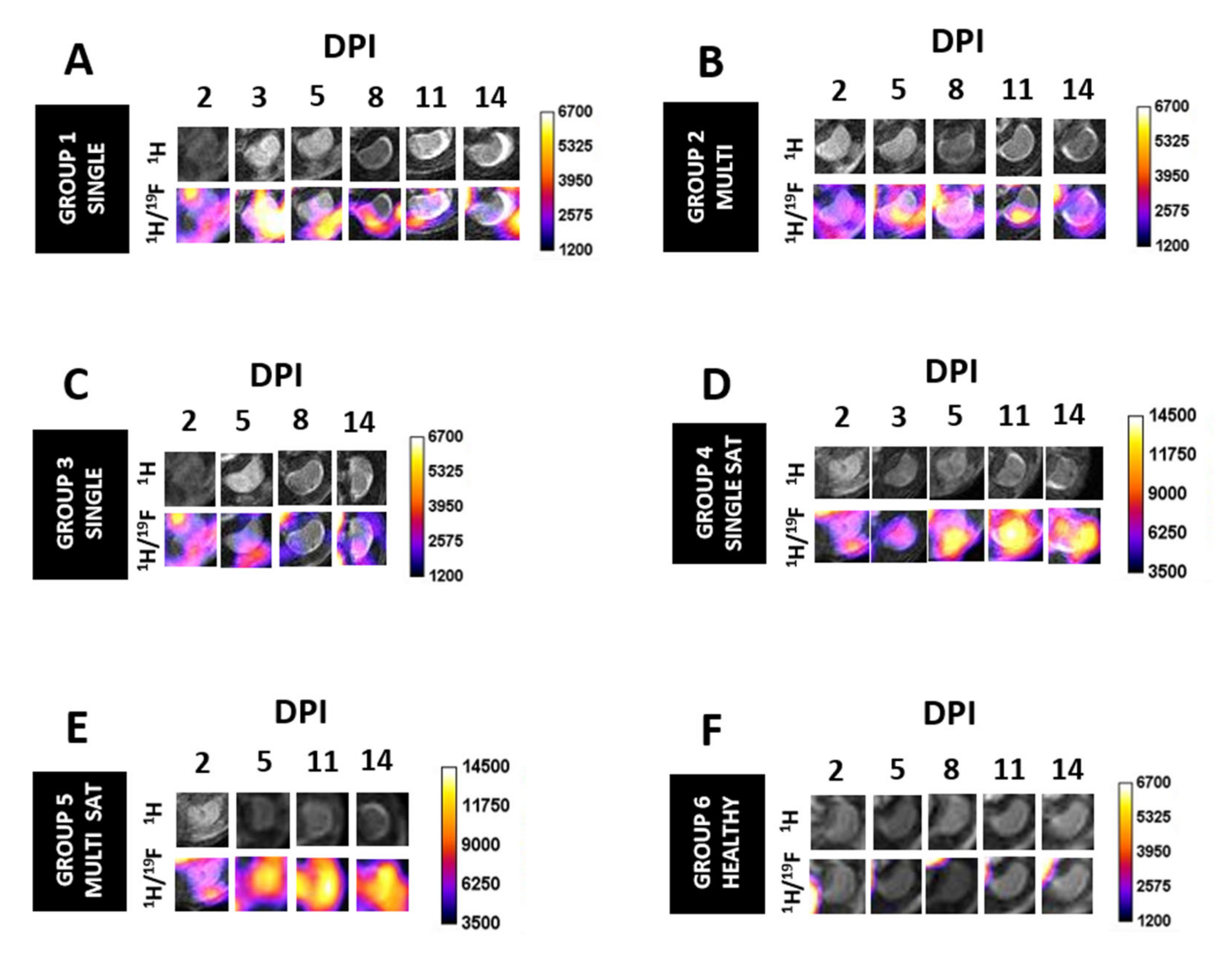 Biomedicines 09 00379 g006 Biomedicines 09 00379 g006