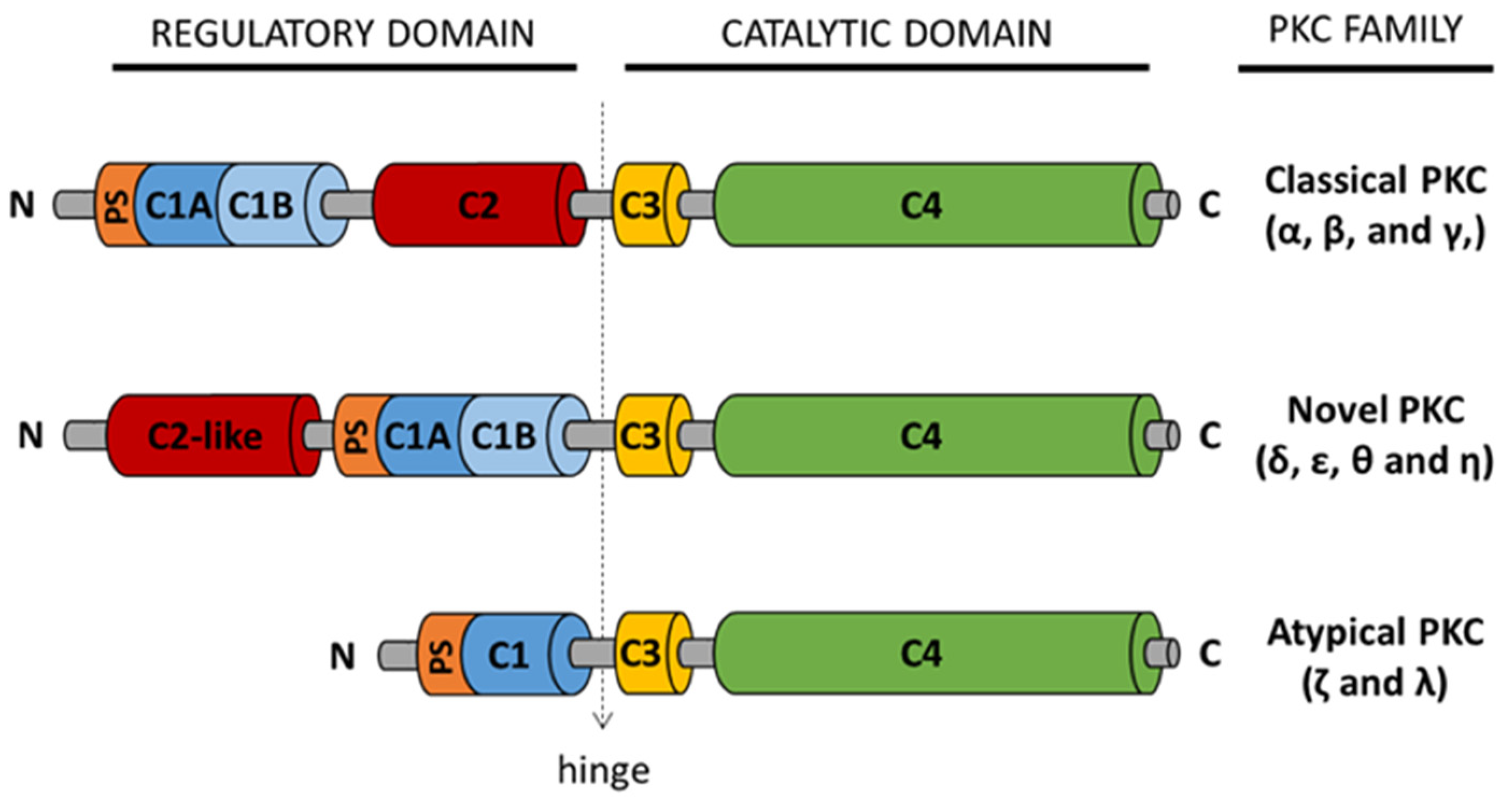 Biomedicines 09 00381 g002 Biomedicines 09 00381 g002