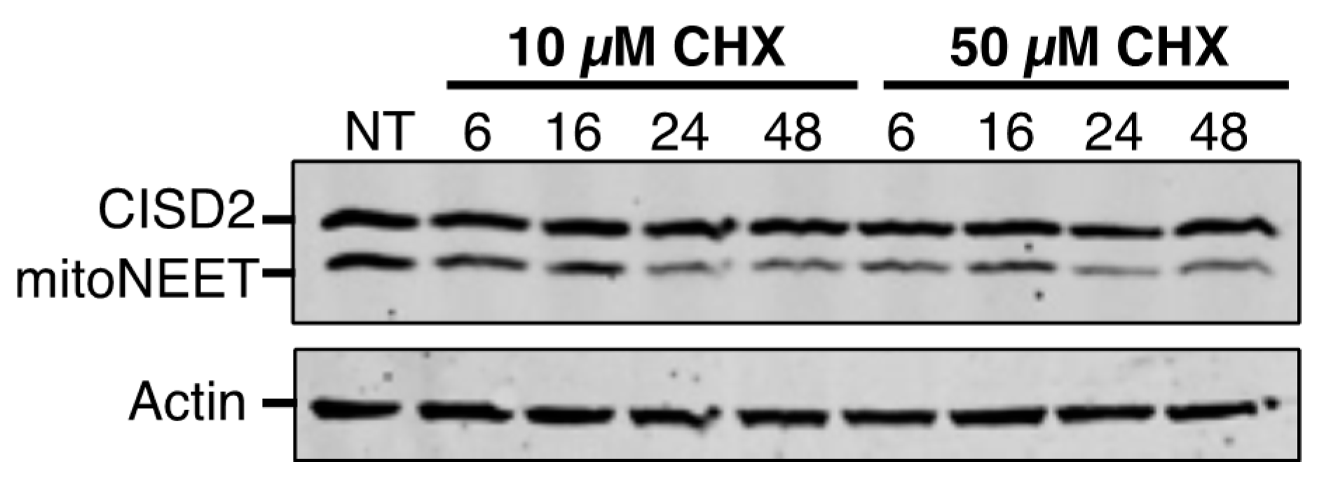 Biomedicines 09 00384 g003
