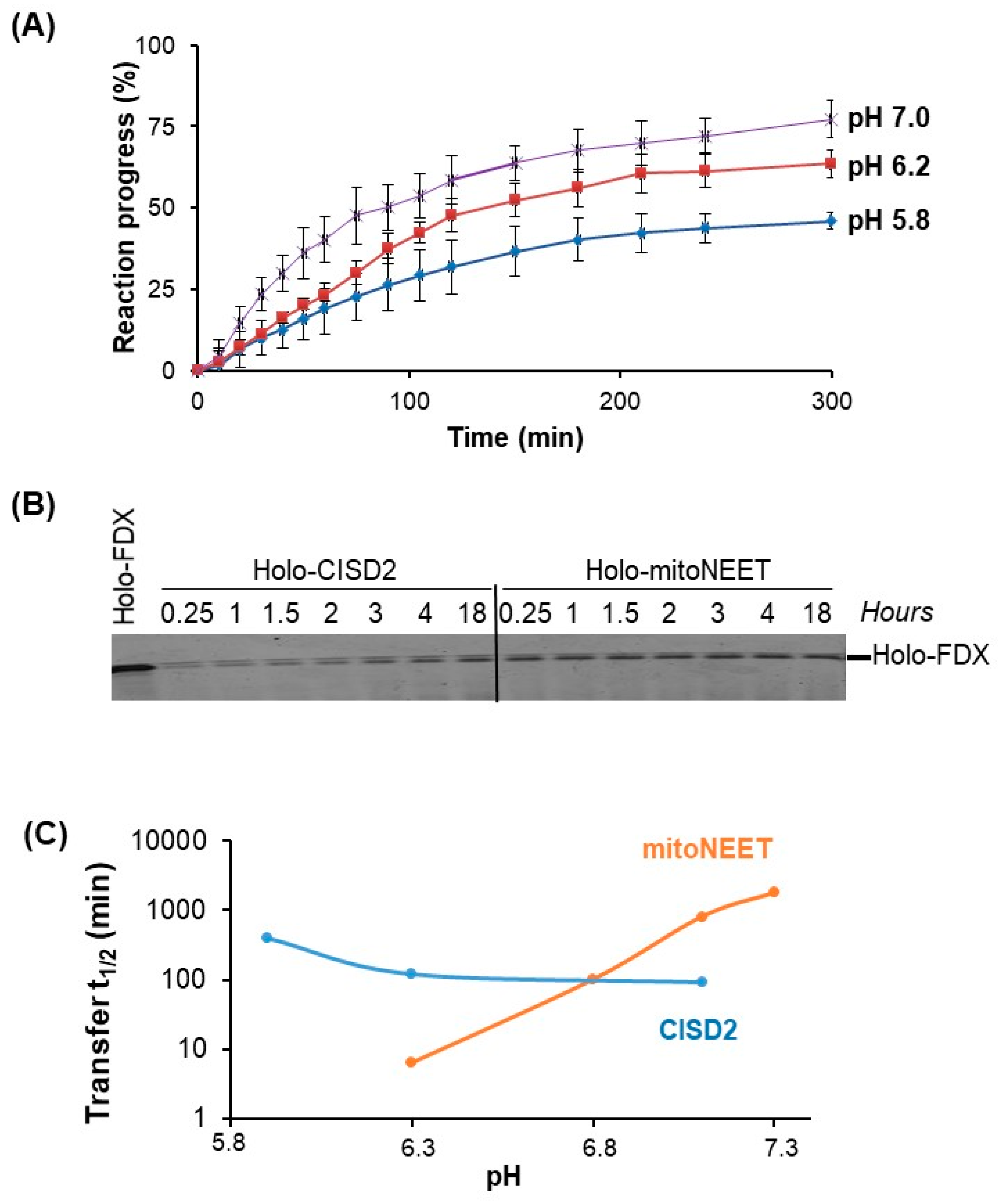 Biomedicines 09 00384 g008