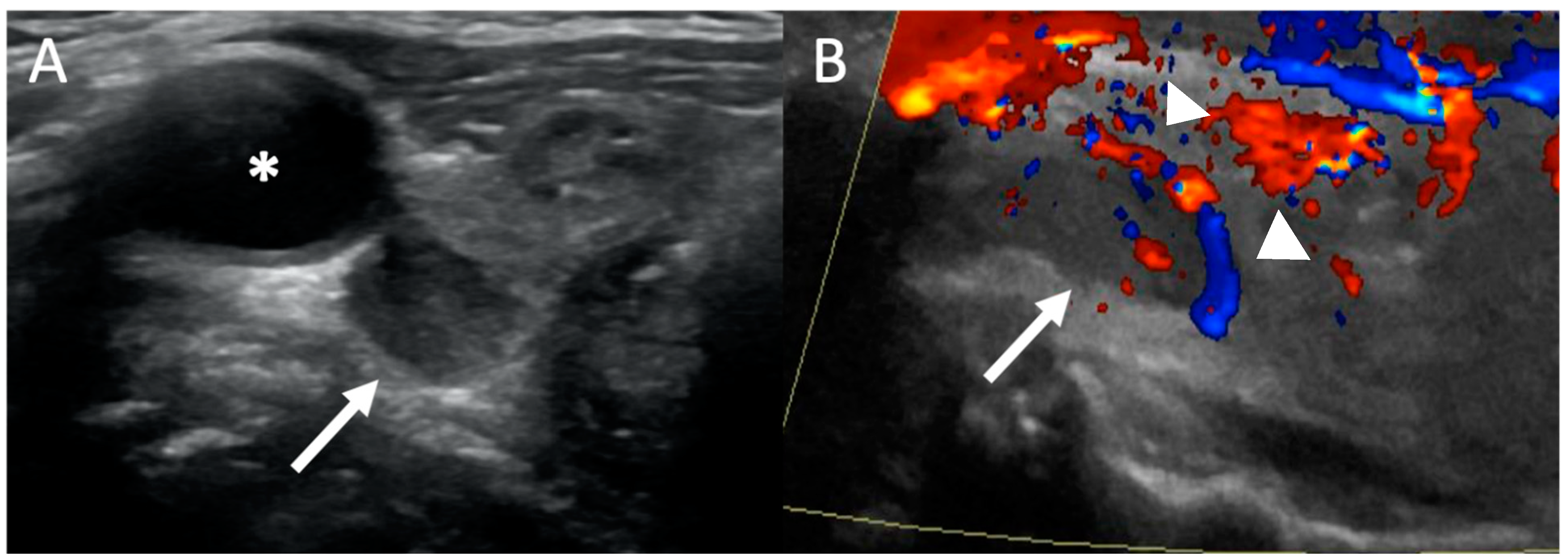 Biomedicines 09 00390 g002 Biomedicines 09 00390 g002