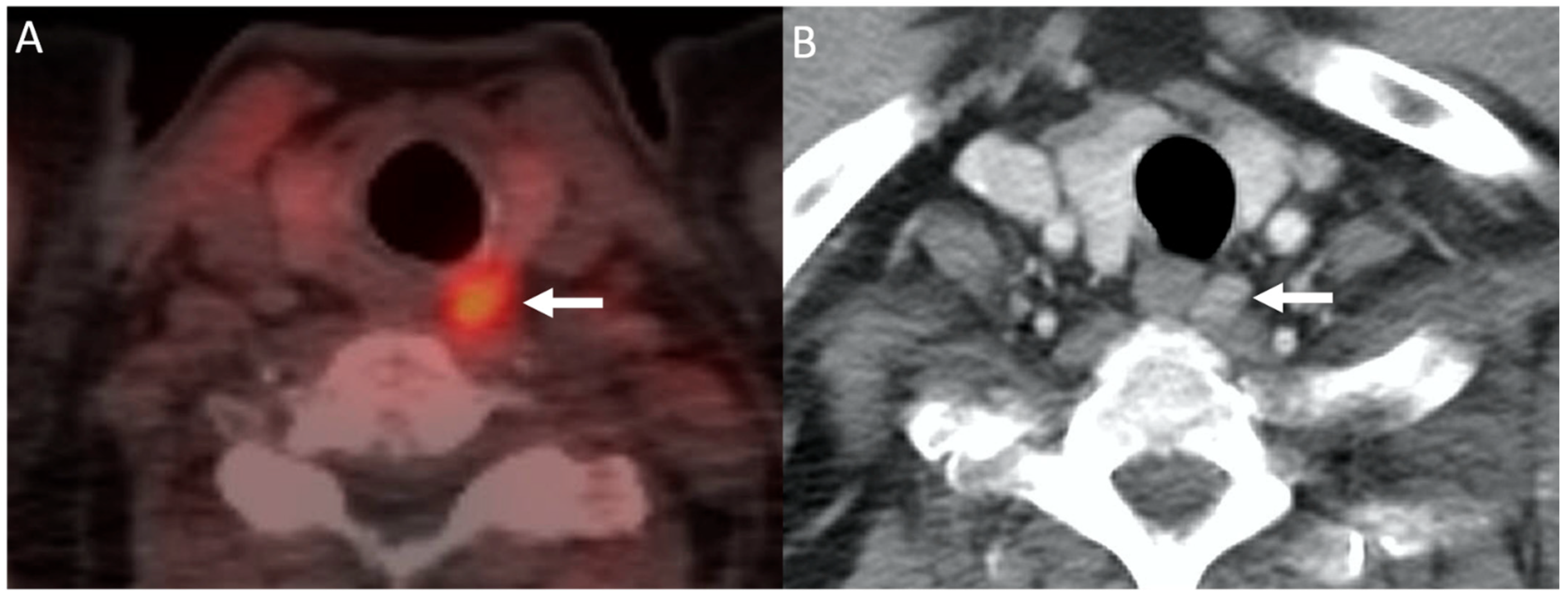 Biomedicines 09 00390 g006 Biomedicines 09 00390 g006