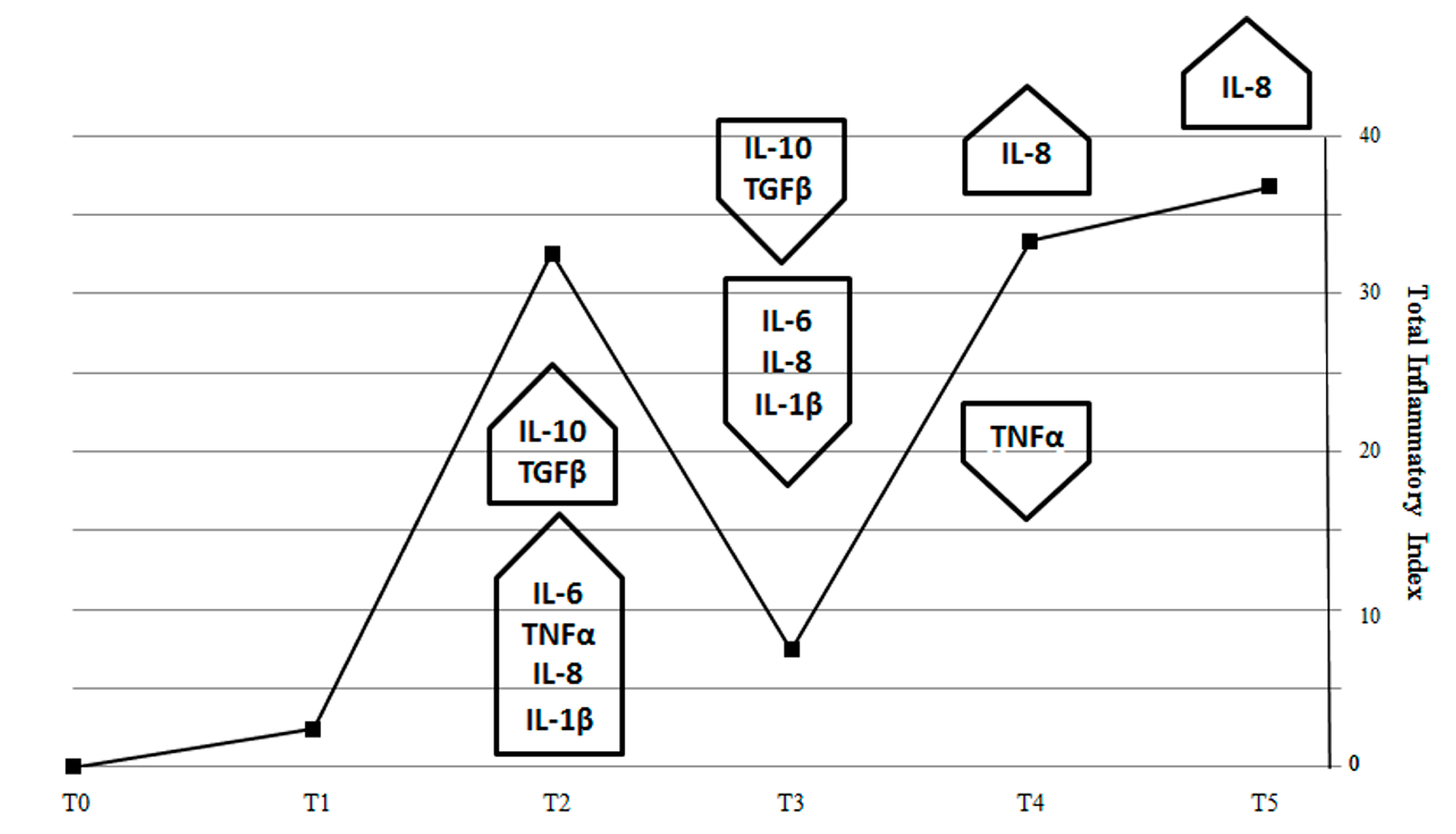 Biomedicines 09 00393 g008