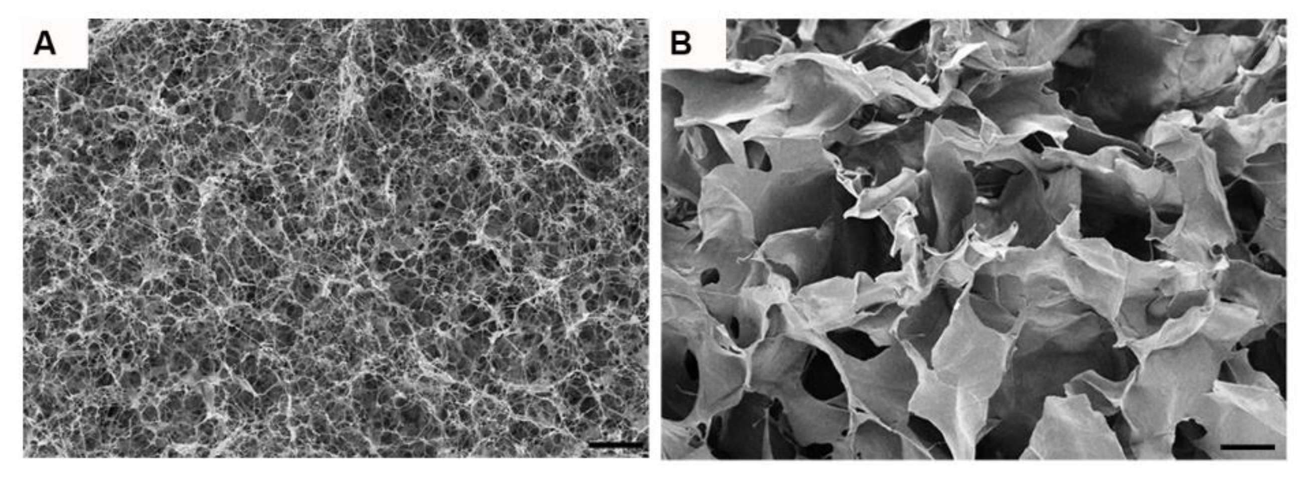 Biomedicines 09 00400 g001 Biomedicines 09 00400 g001